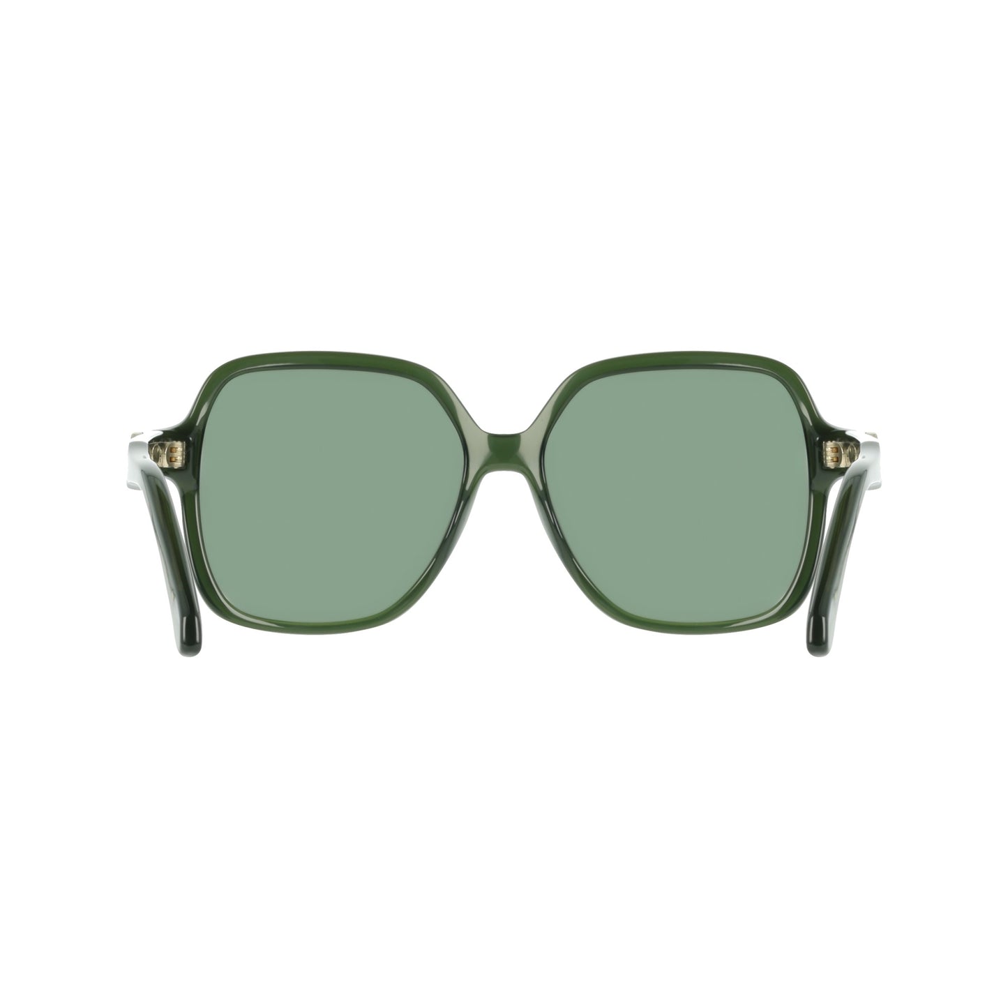Ferragamo SF2069SE