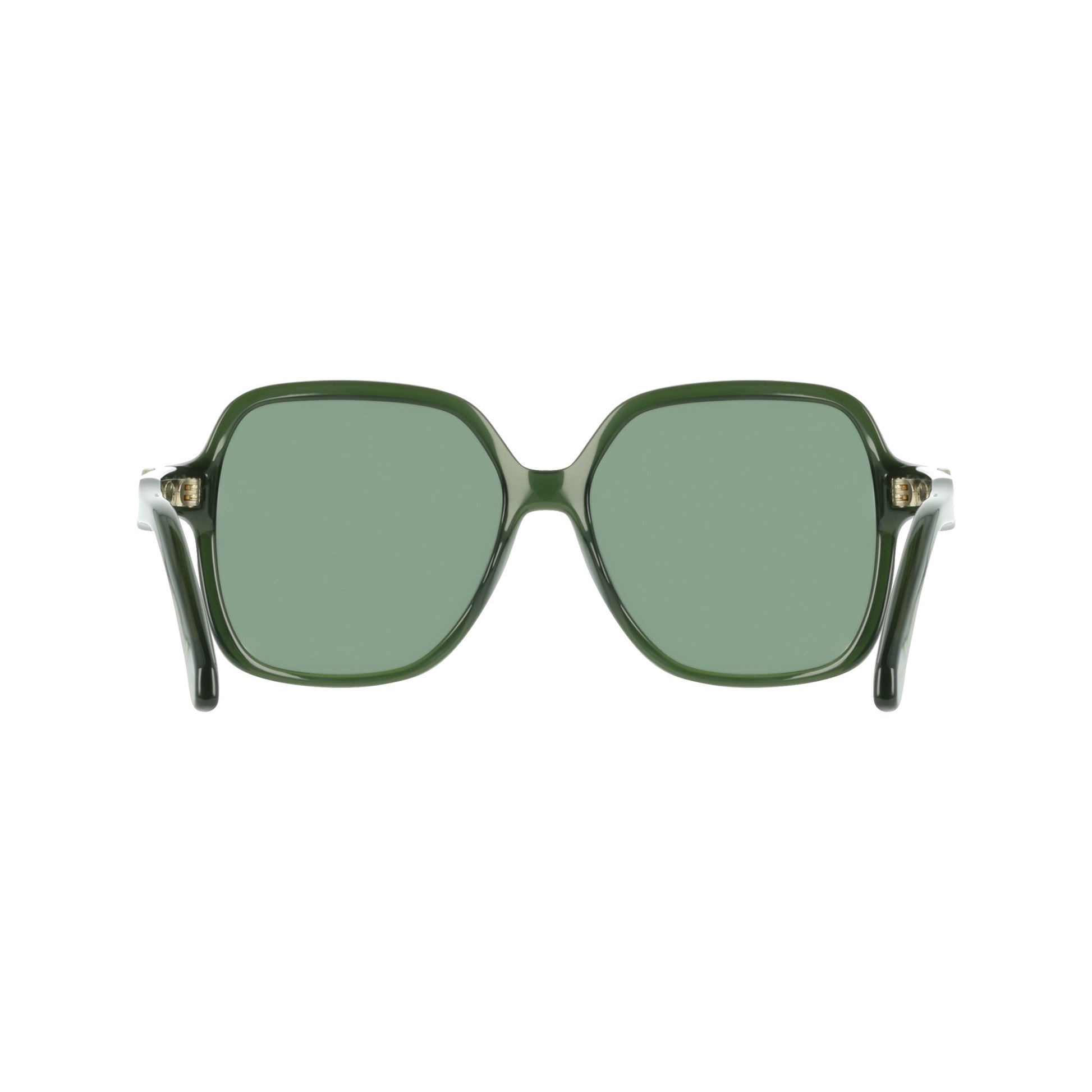 Ferragamo SF2069SE