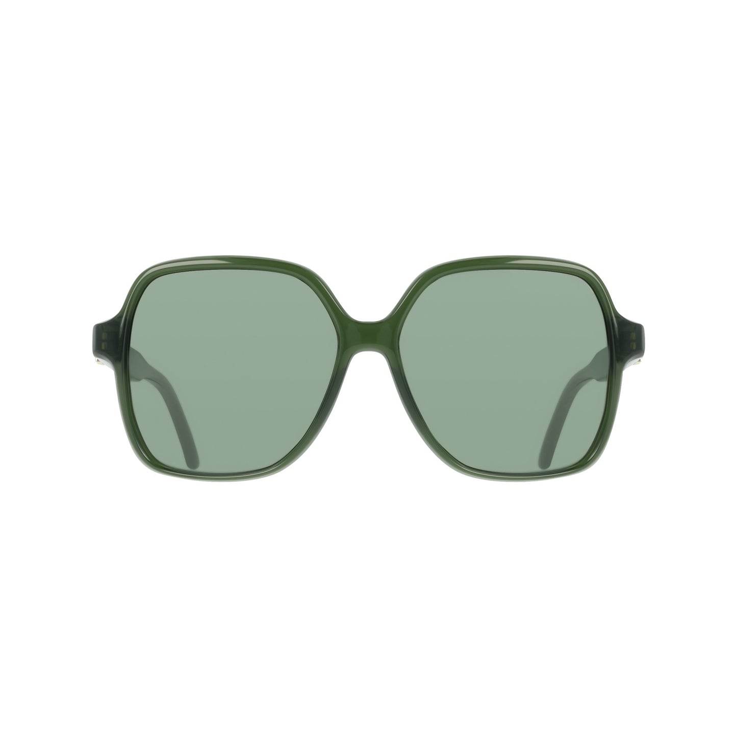 Ferragamo SF2069SE
