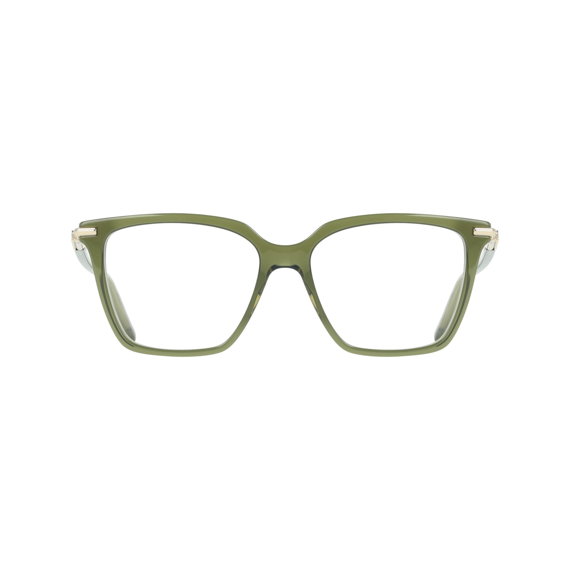 Ferragamo SF3038