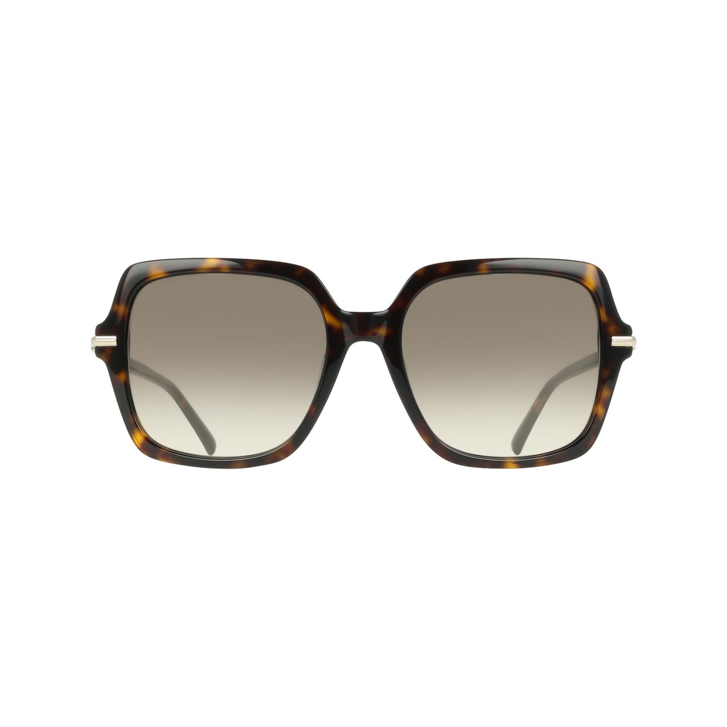 Ferragamo SF2076S