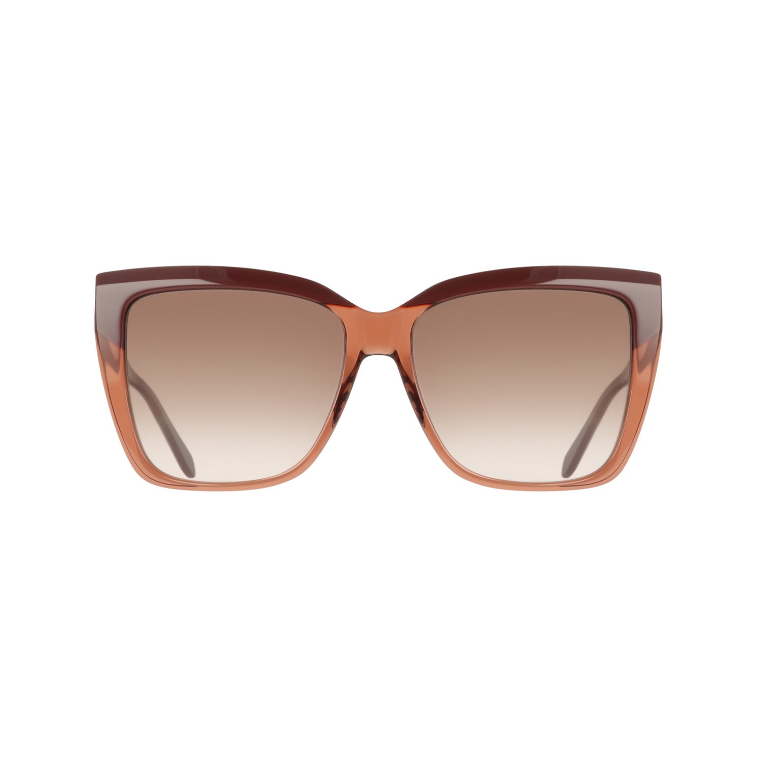 Ferragamo SF1102S