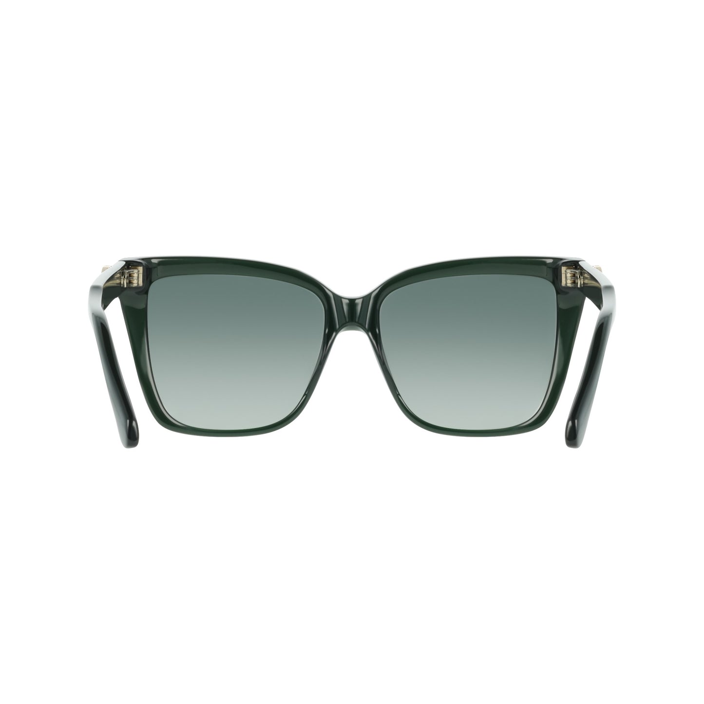 Ferragamo SF2085SE