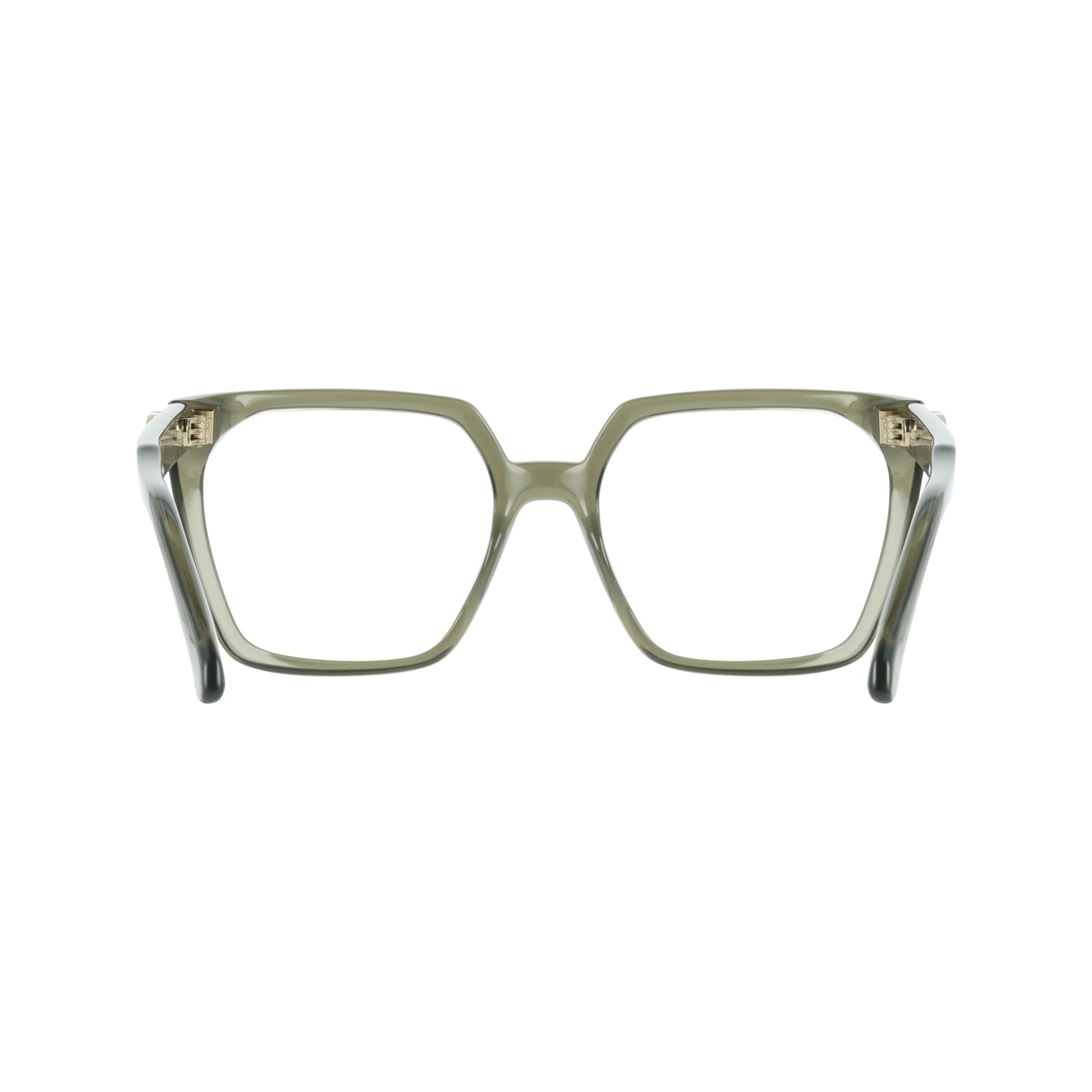 Ferragamo SF3042E