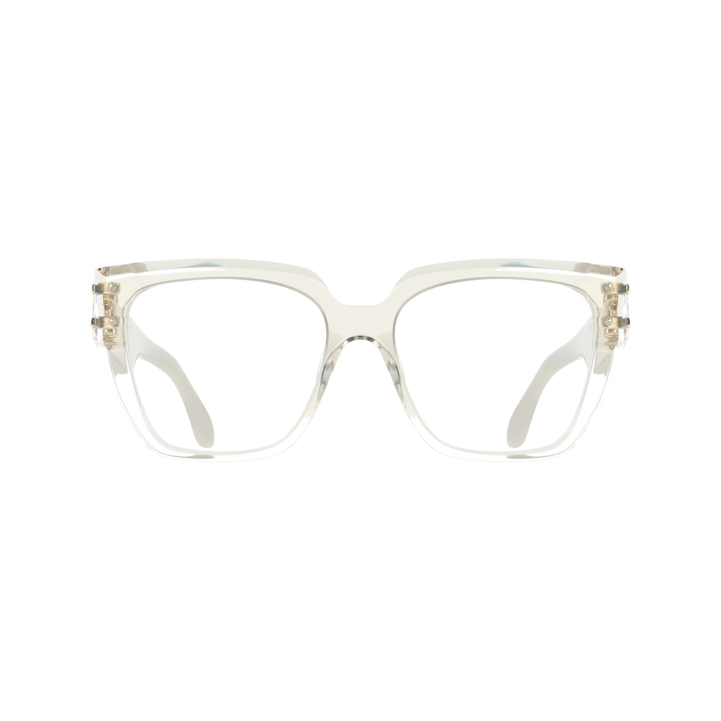 Ferragamo SF3041E