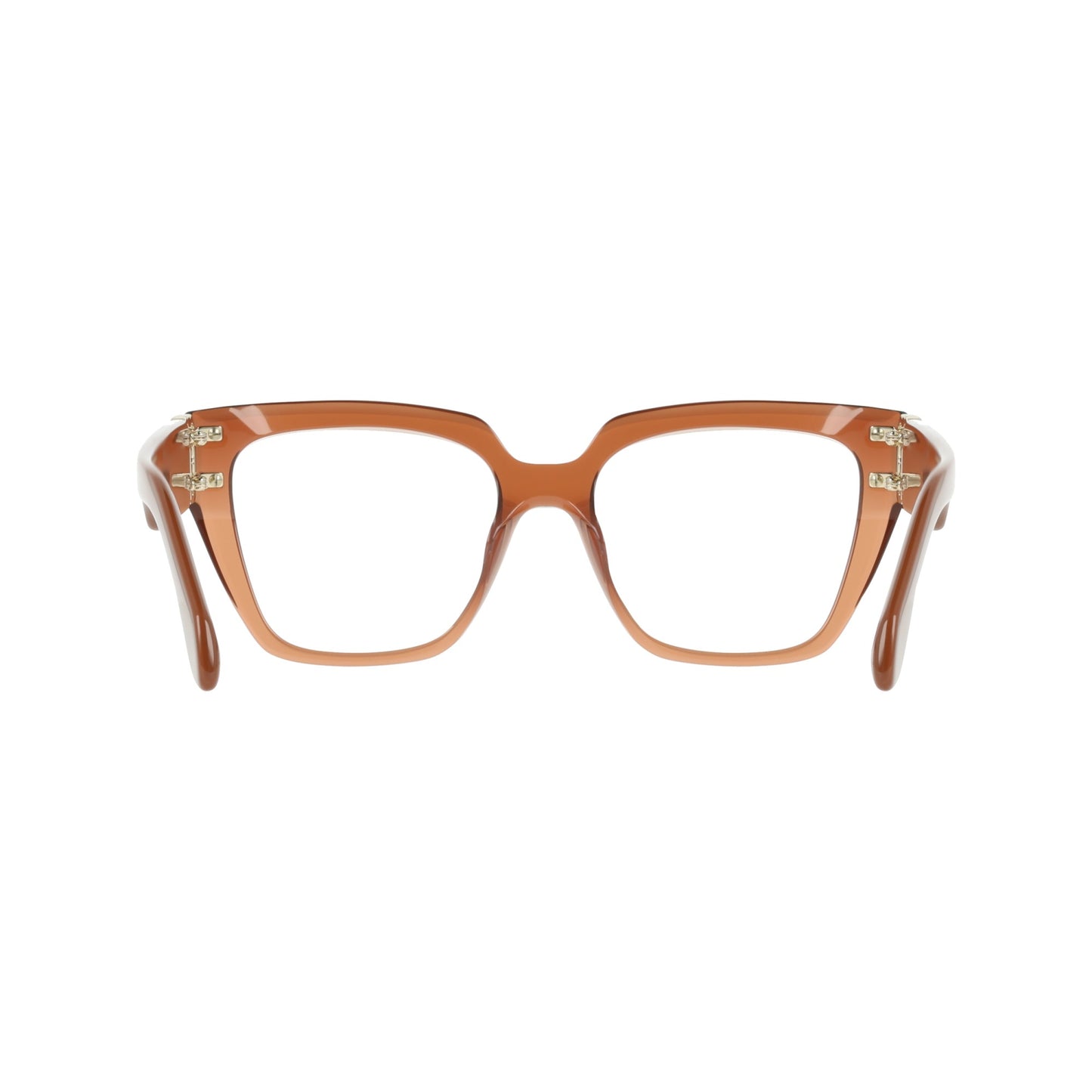 Ferragamo SF3041E