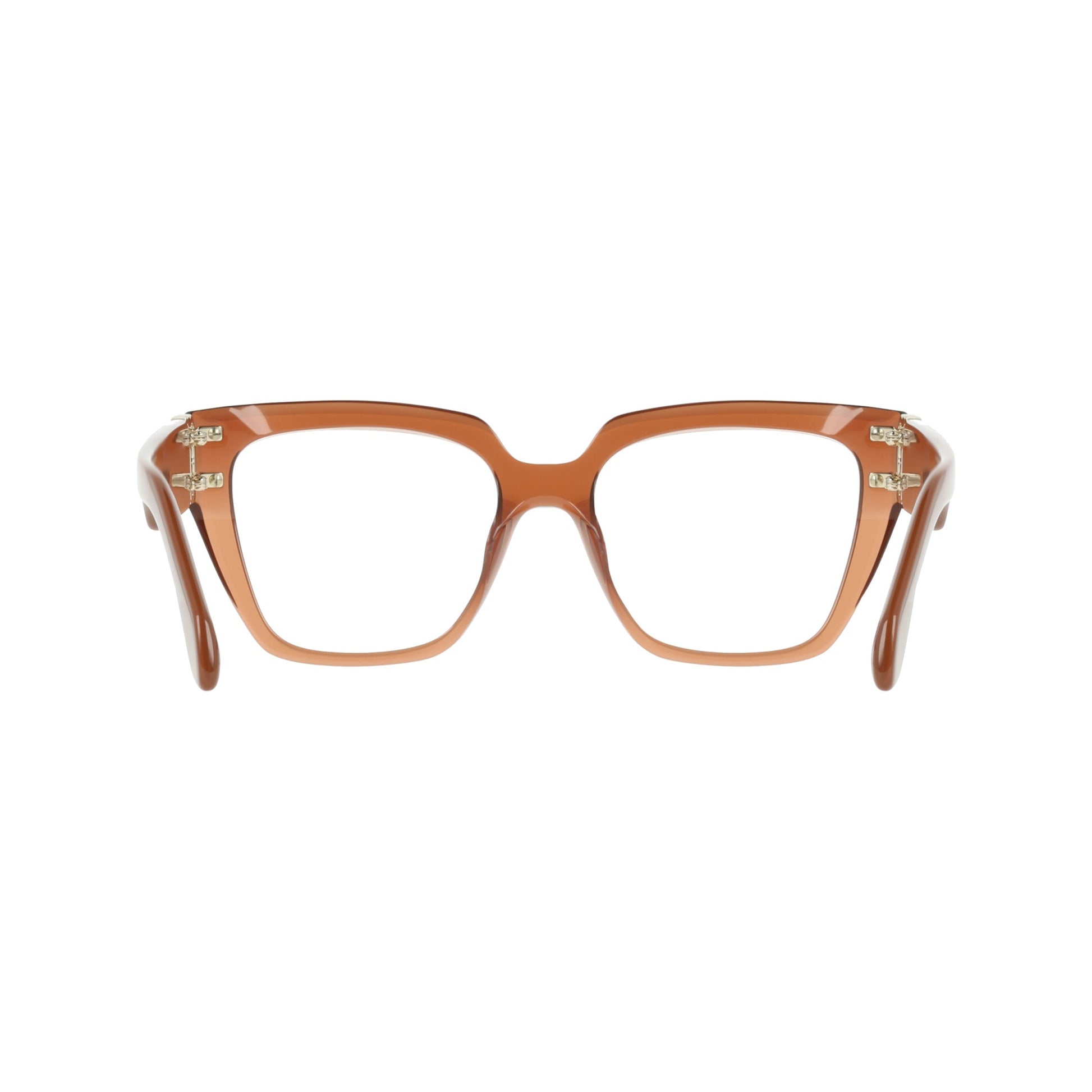 Ferragamo SF3041E