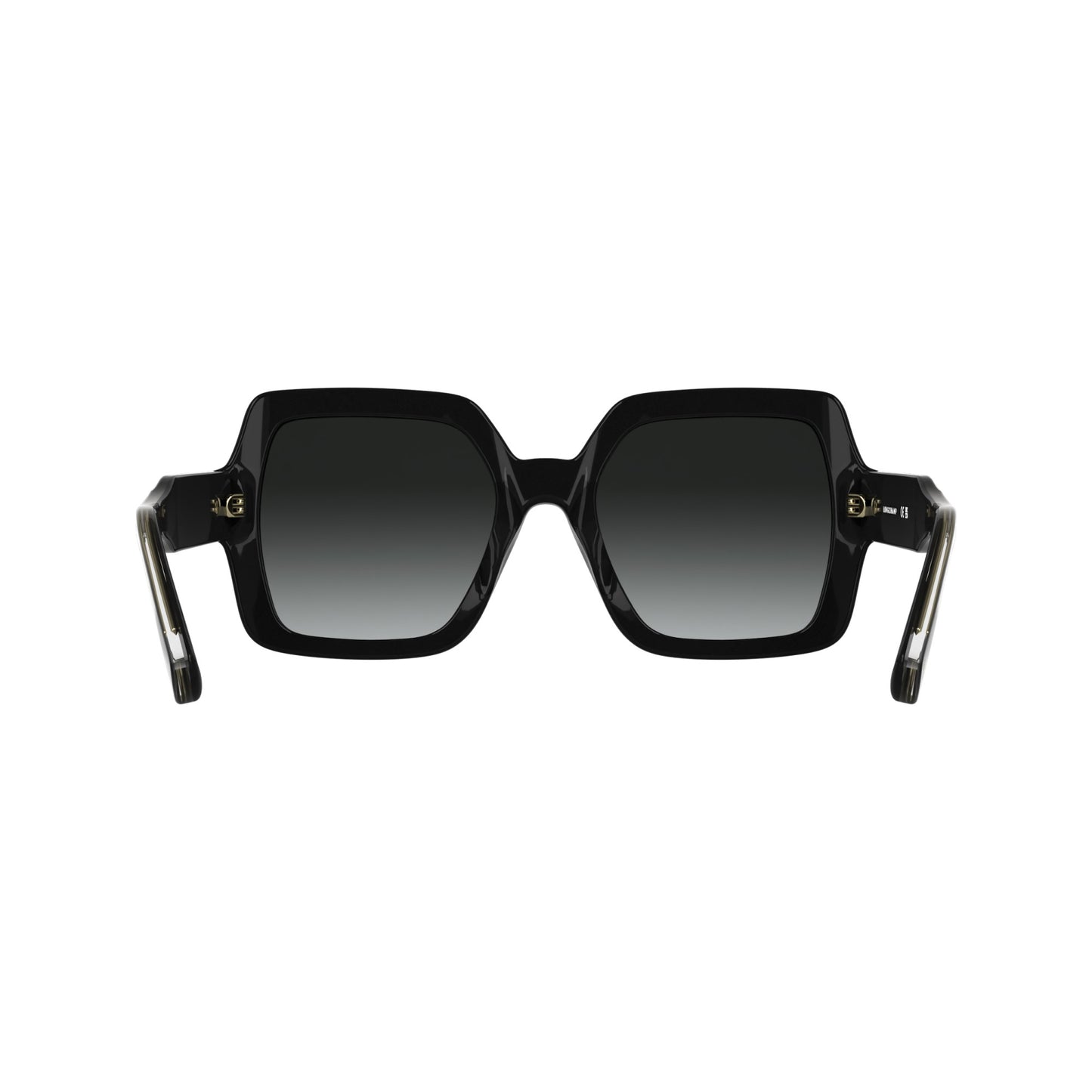 Longchamp LO790S