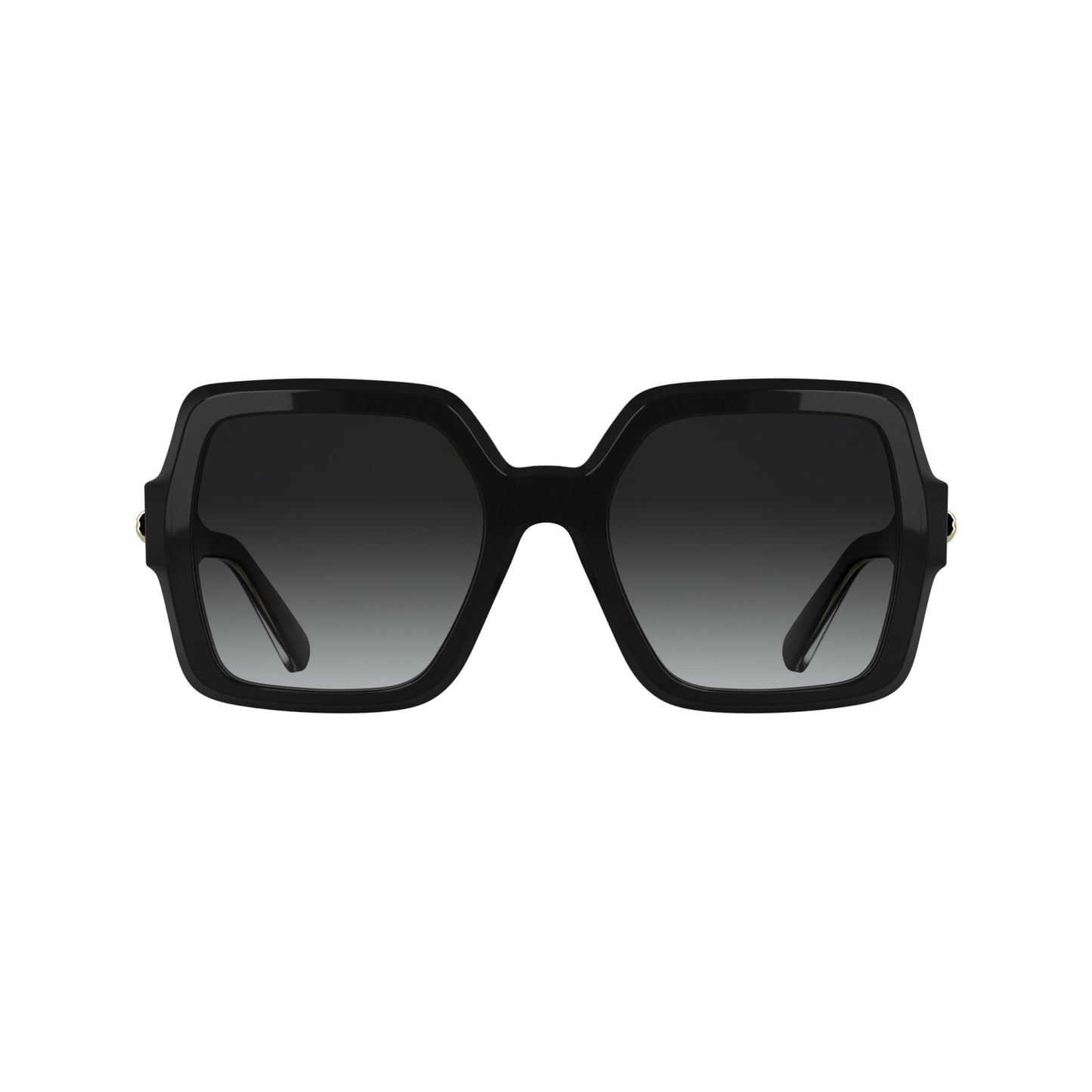 Longchamp LO790S