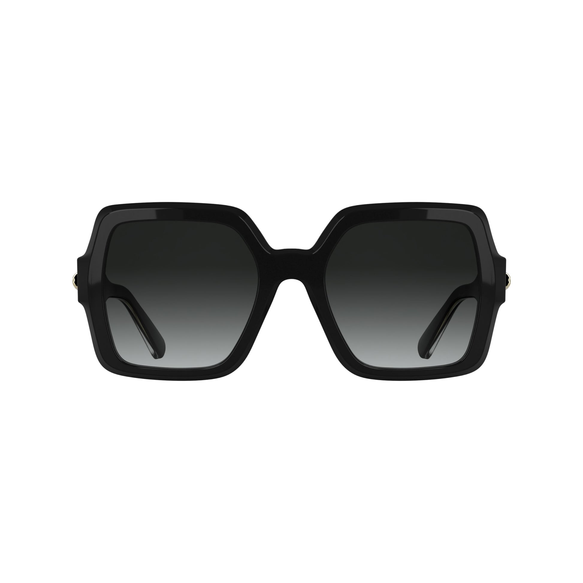 Longchamp LO790S