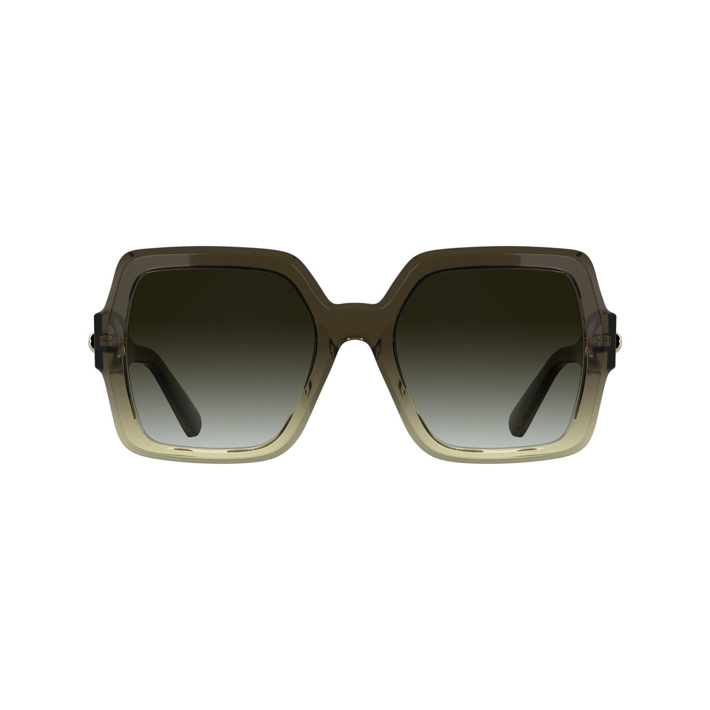 Longchamp LO790S
