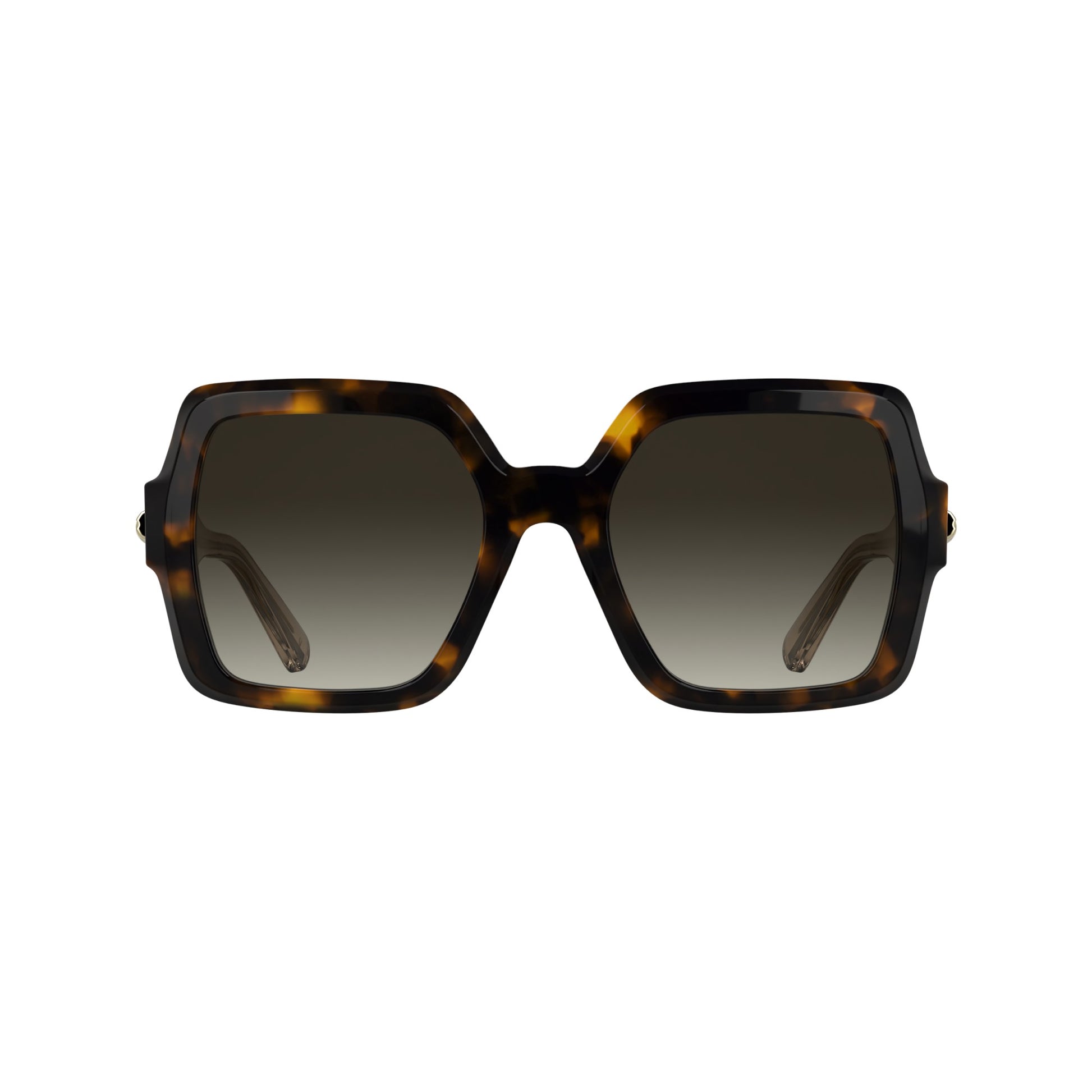Longchamp LO790S
