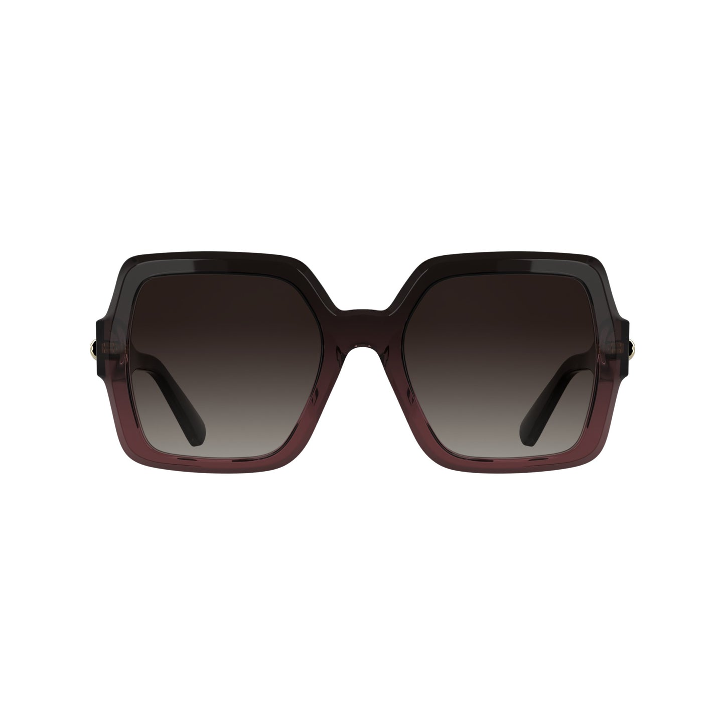 Longchamp LO790S