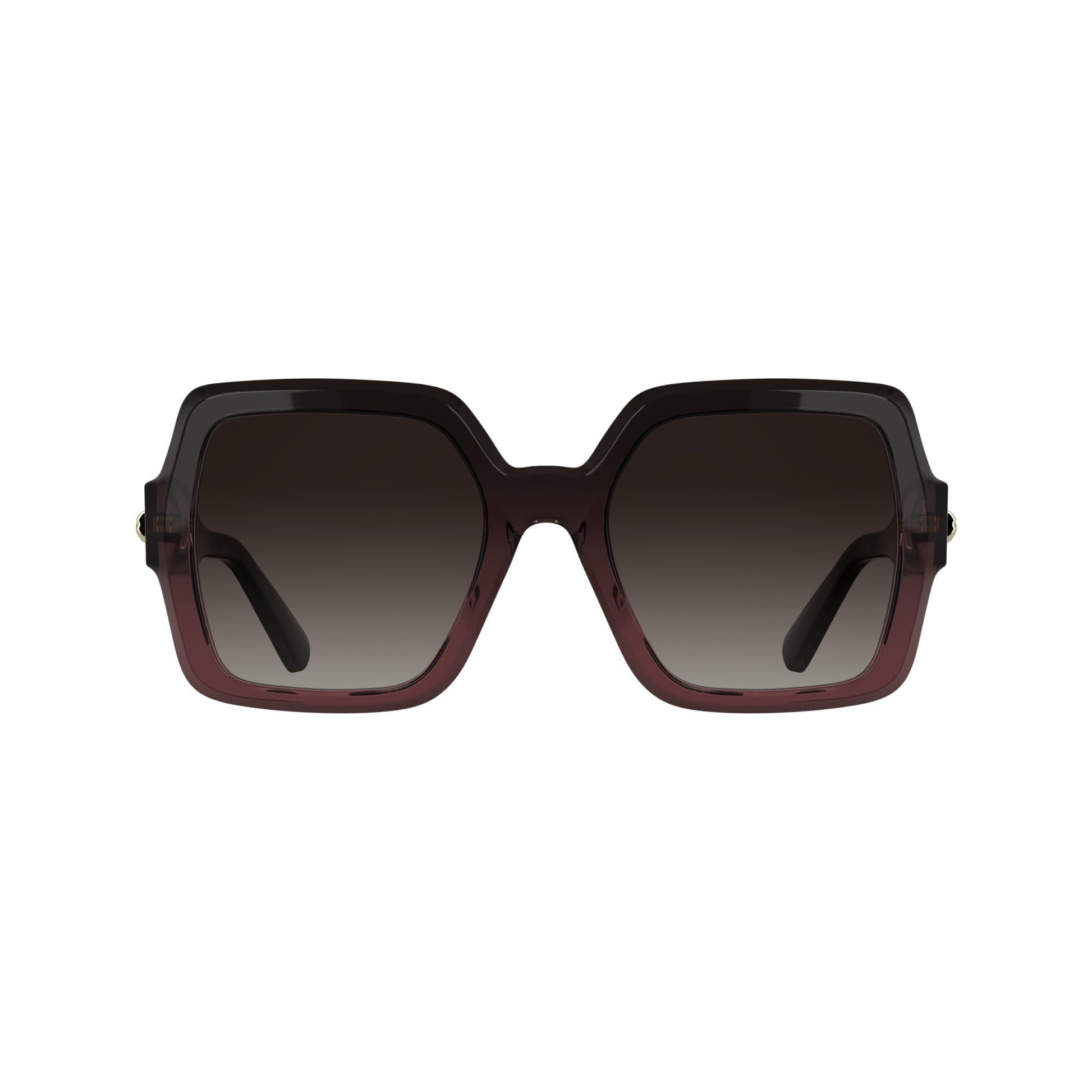 Longchamp LO790S