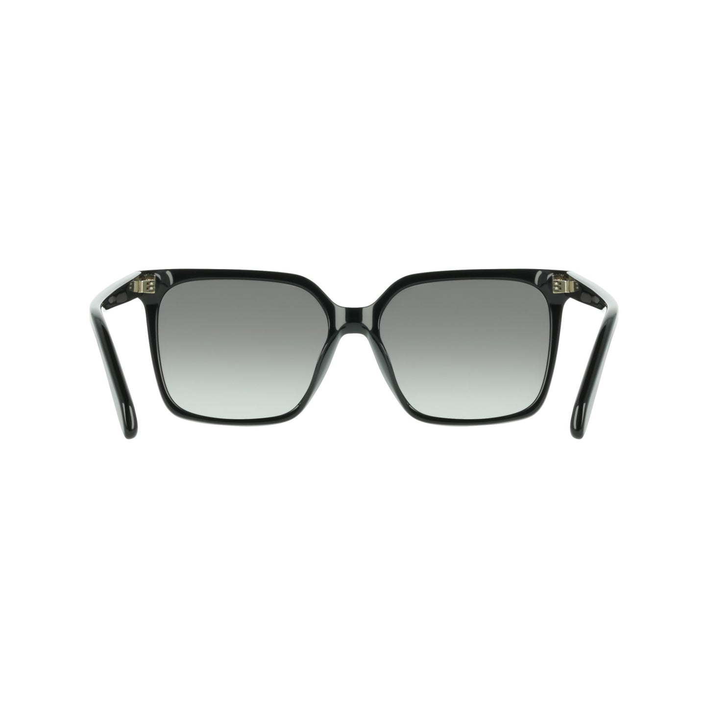 Ferragamo SF2102S