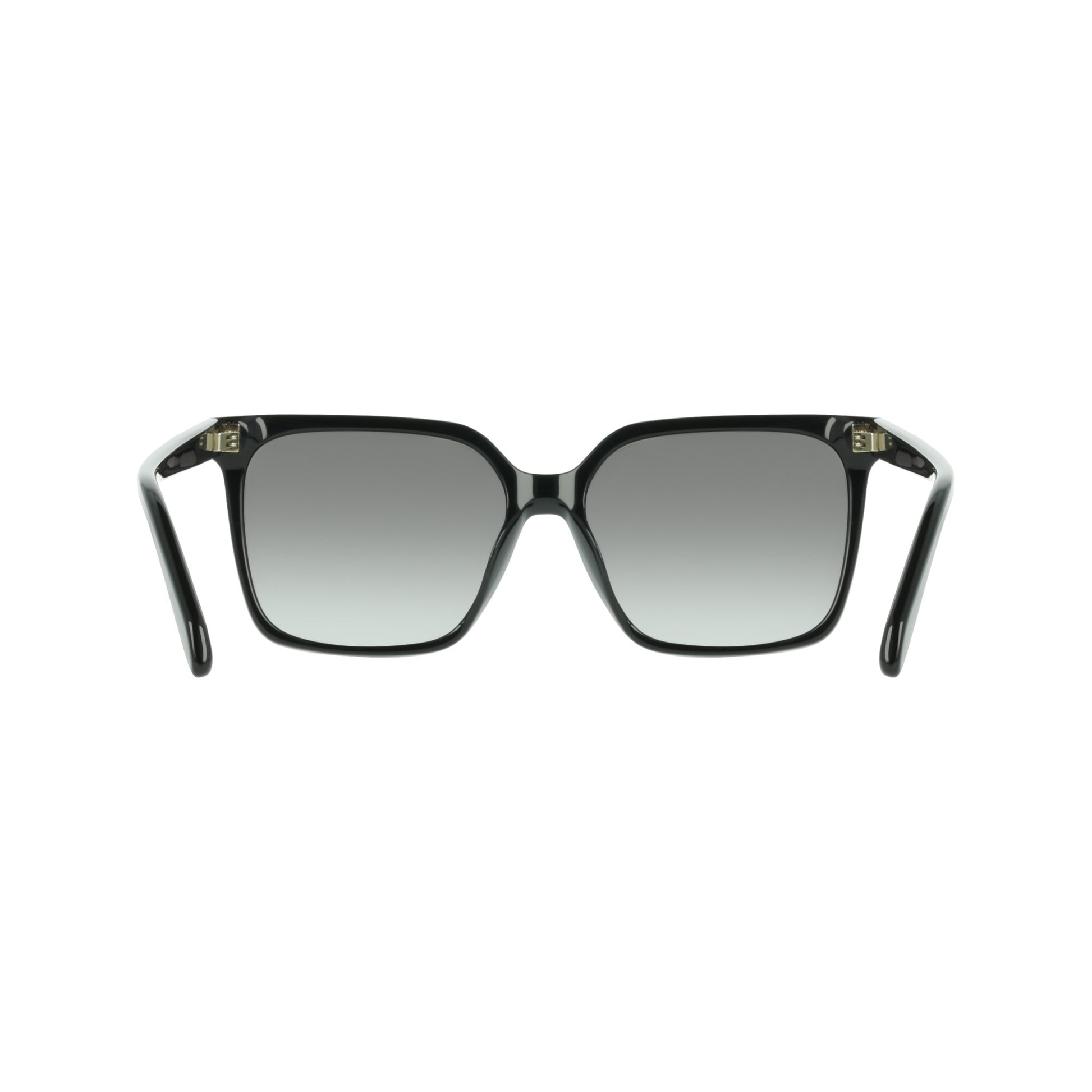 Ferragamo SF2102S