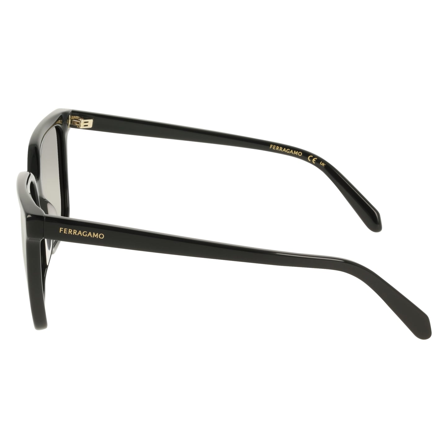 Ferragamo SF2102S