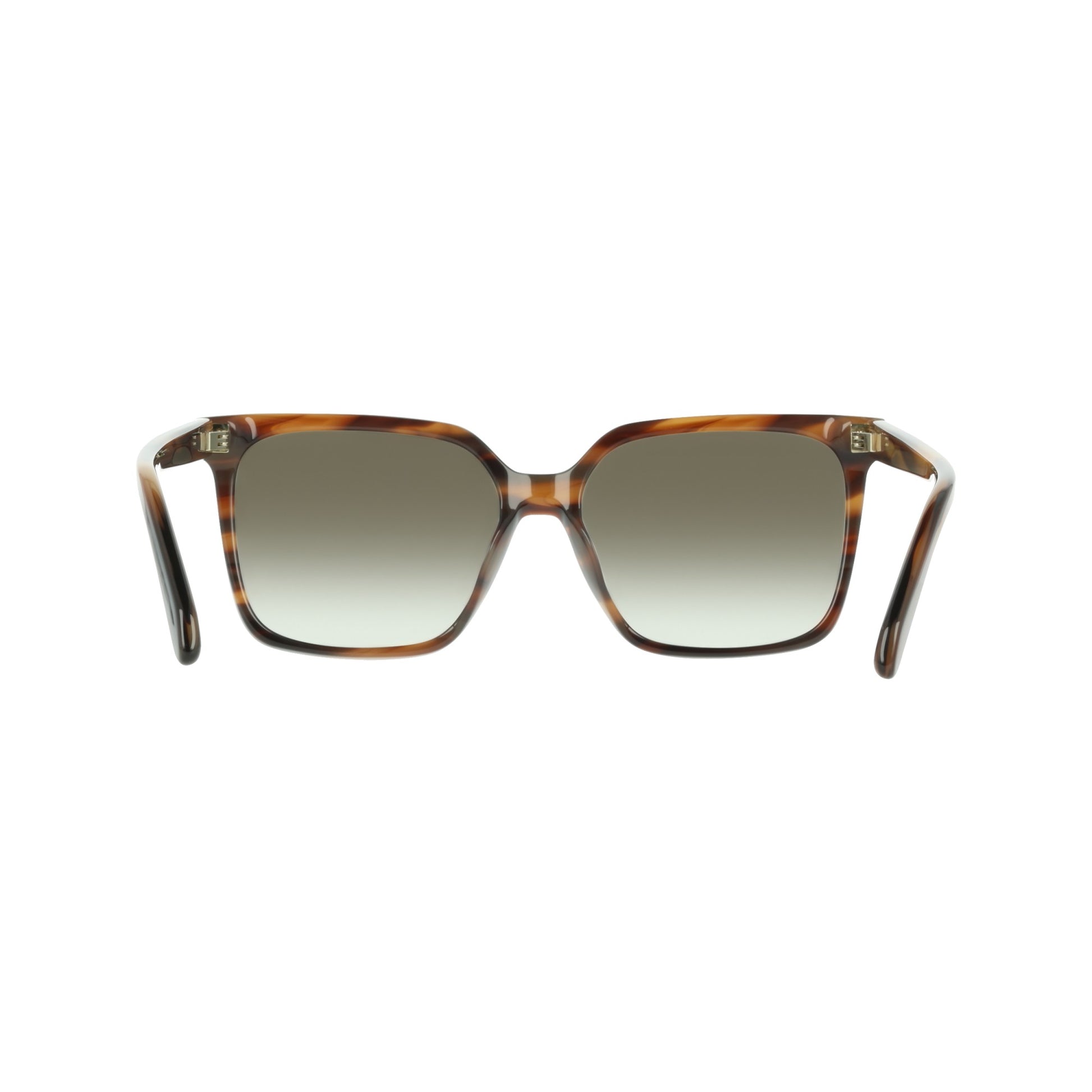 Ferragamo SF2102S
