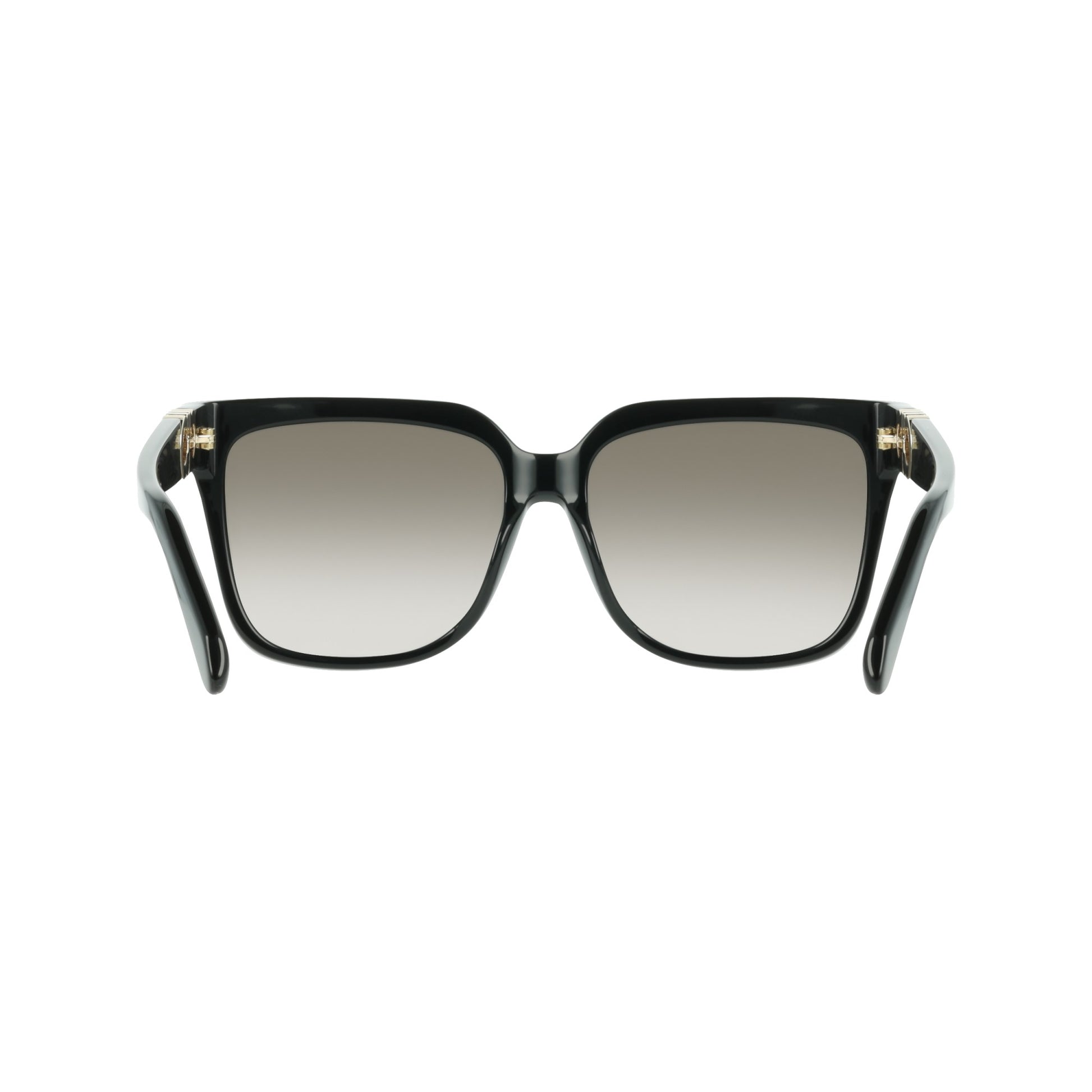 Ferragamo SF2109S