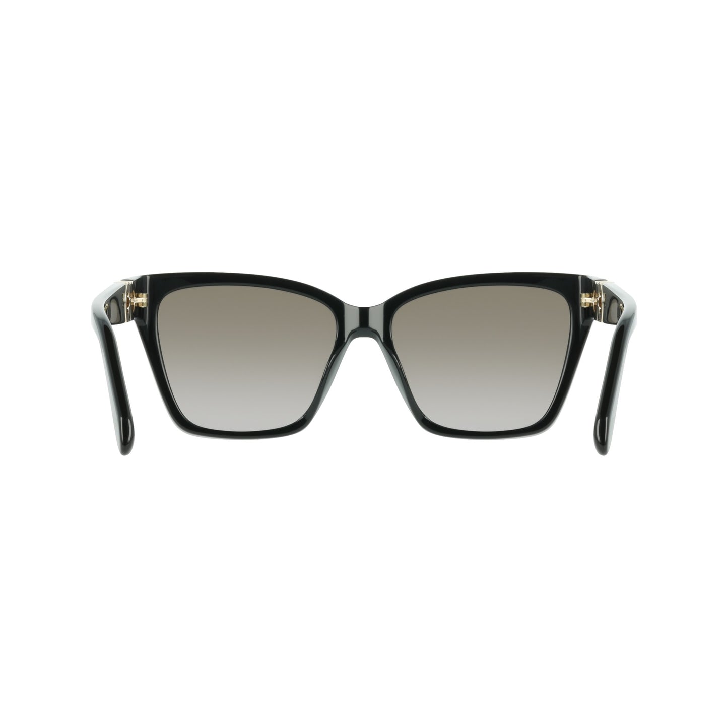 Ferragamo SF2110S