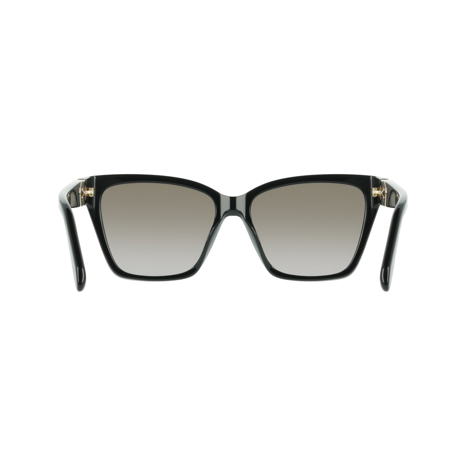 Ferragamo SF2110S