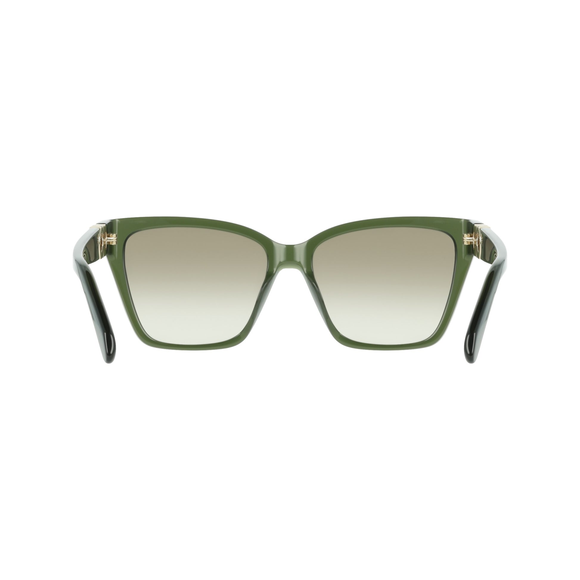 Ferragamo SF2110S