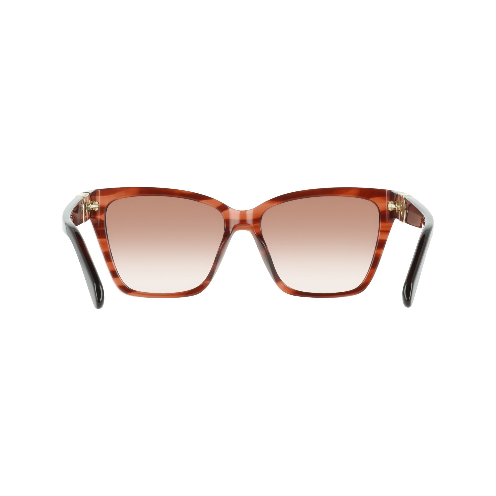 Ferragamo SF2110S