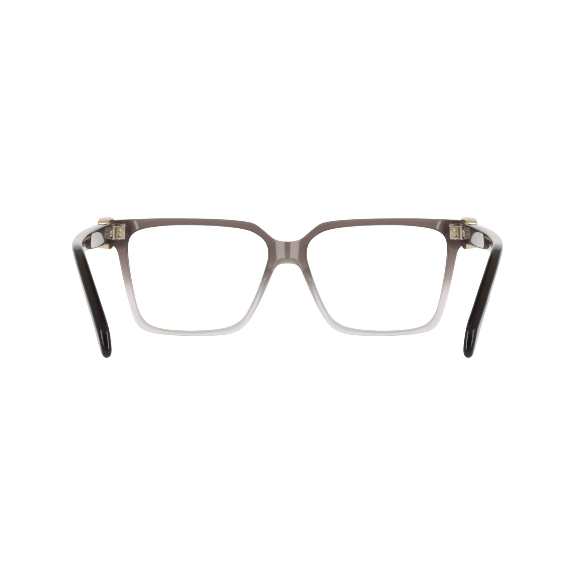 Ferragamo SF3059