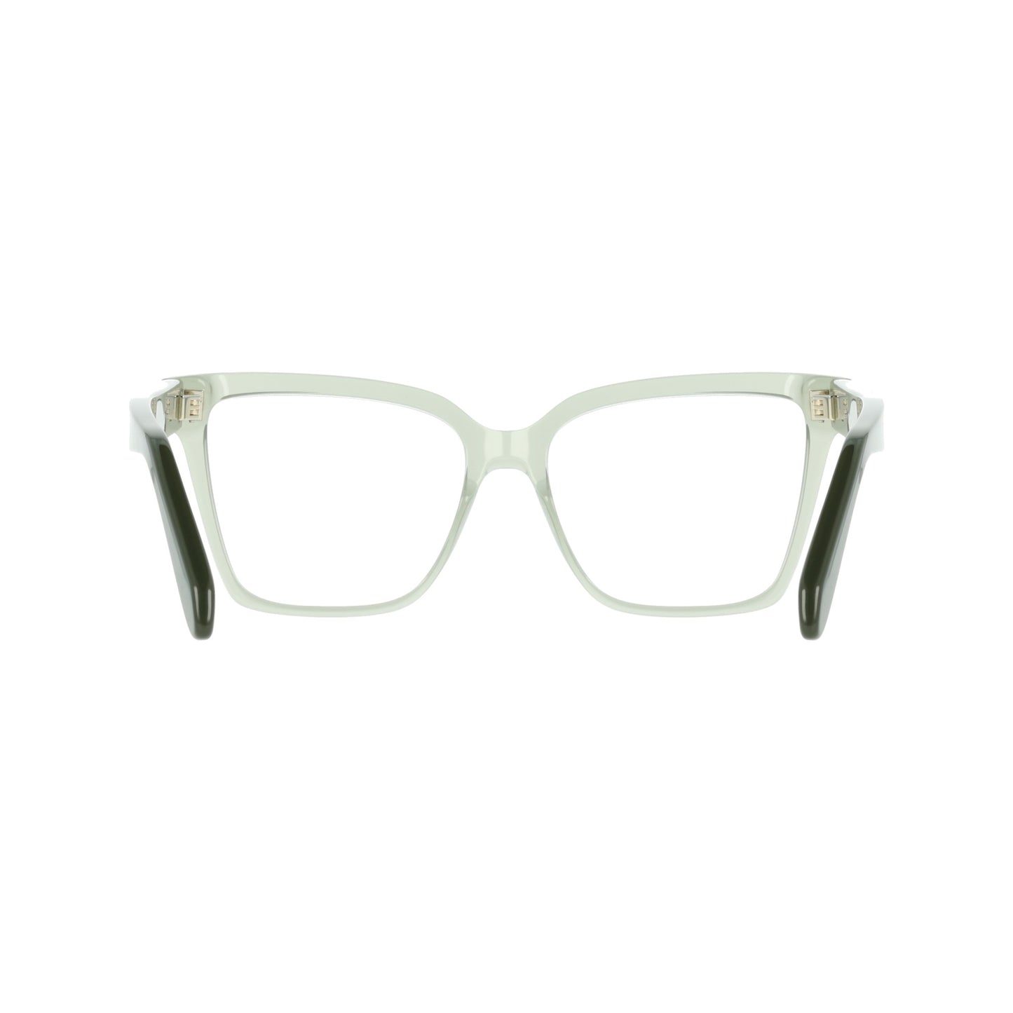 Ferragamo SF3060