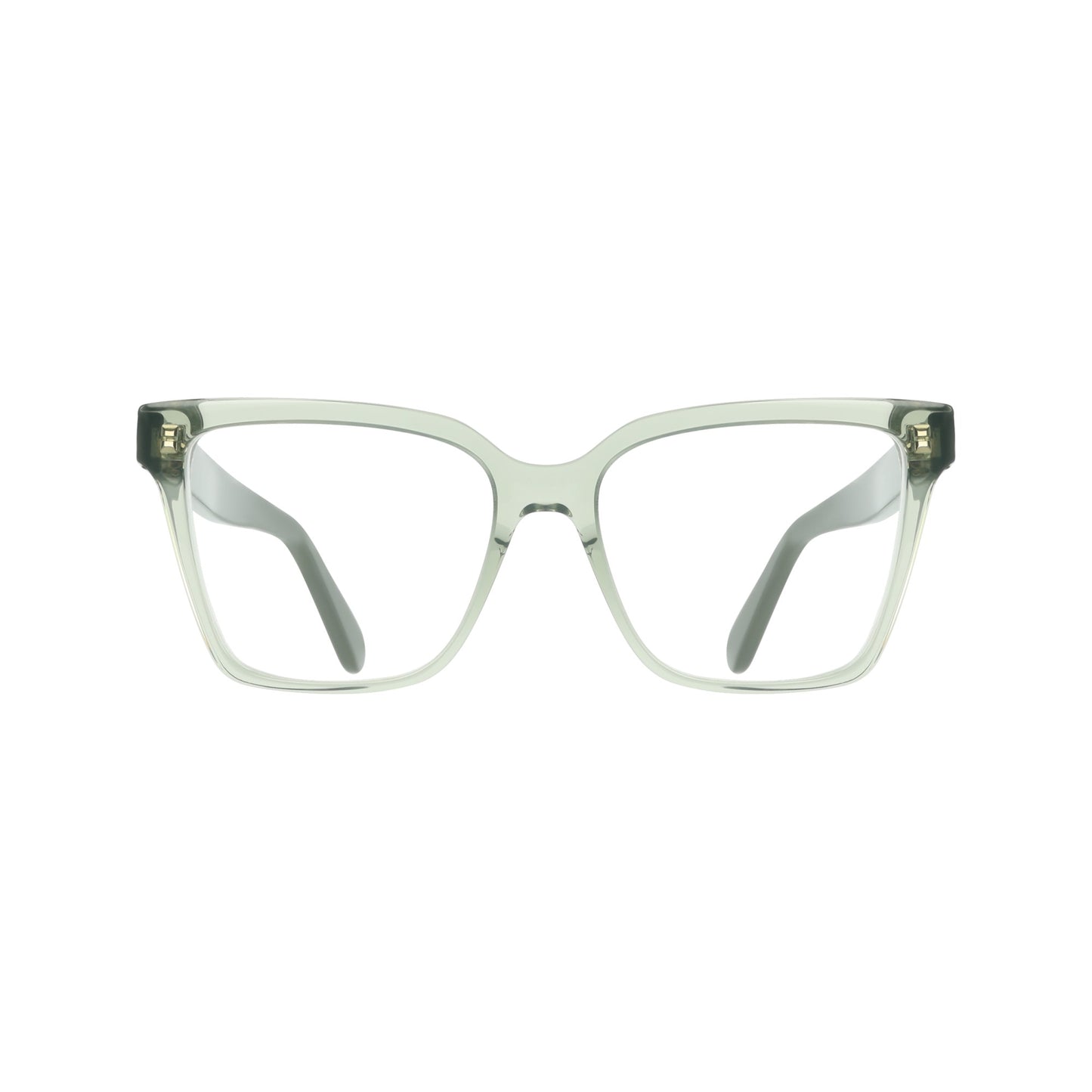 Ferragamo SF3060