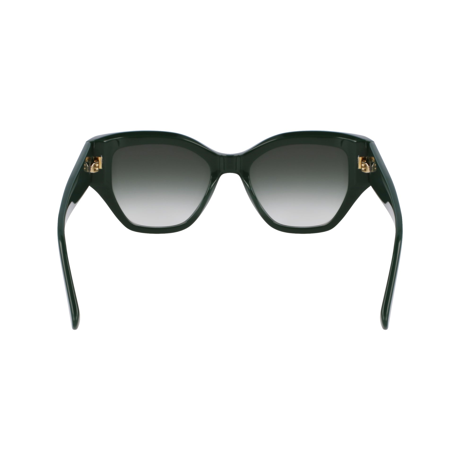 Longchamp LO764S N