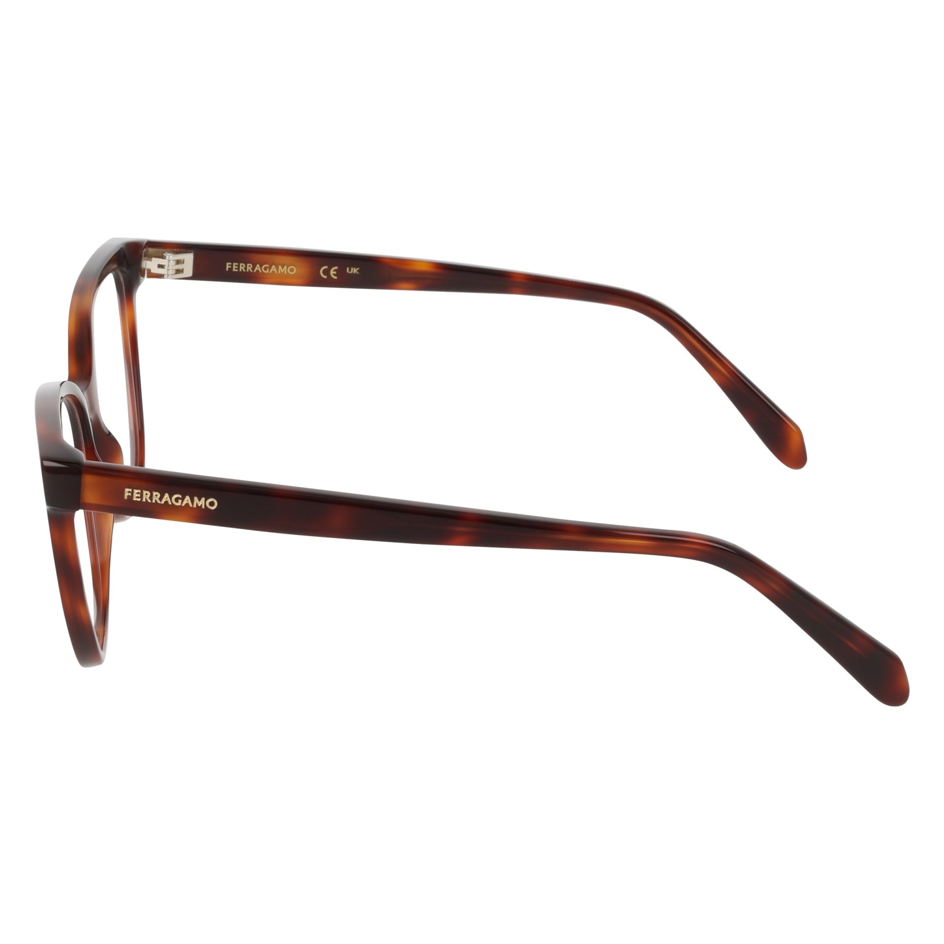Ferragamo SF3062