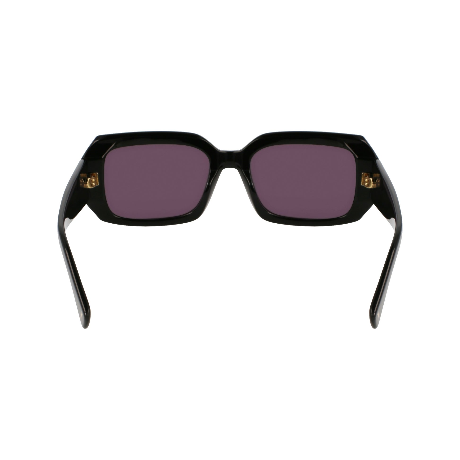 Longchamp LO765S N