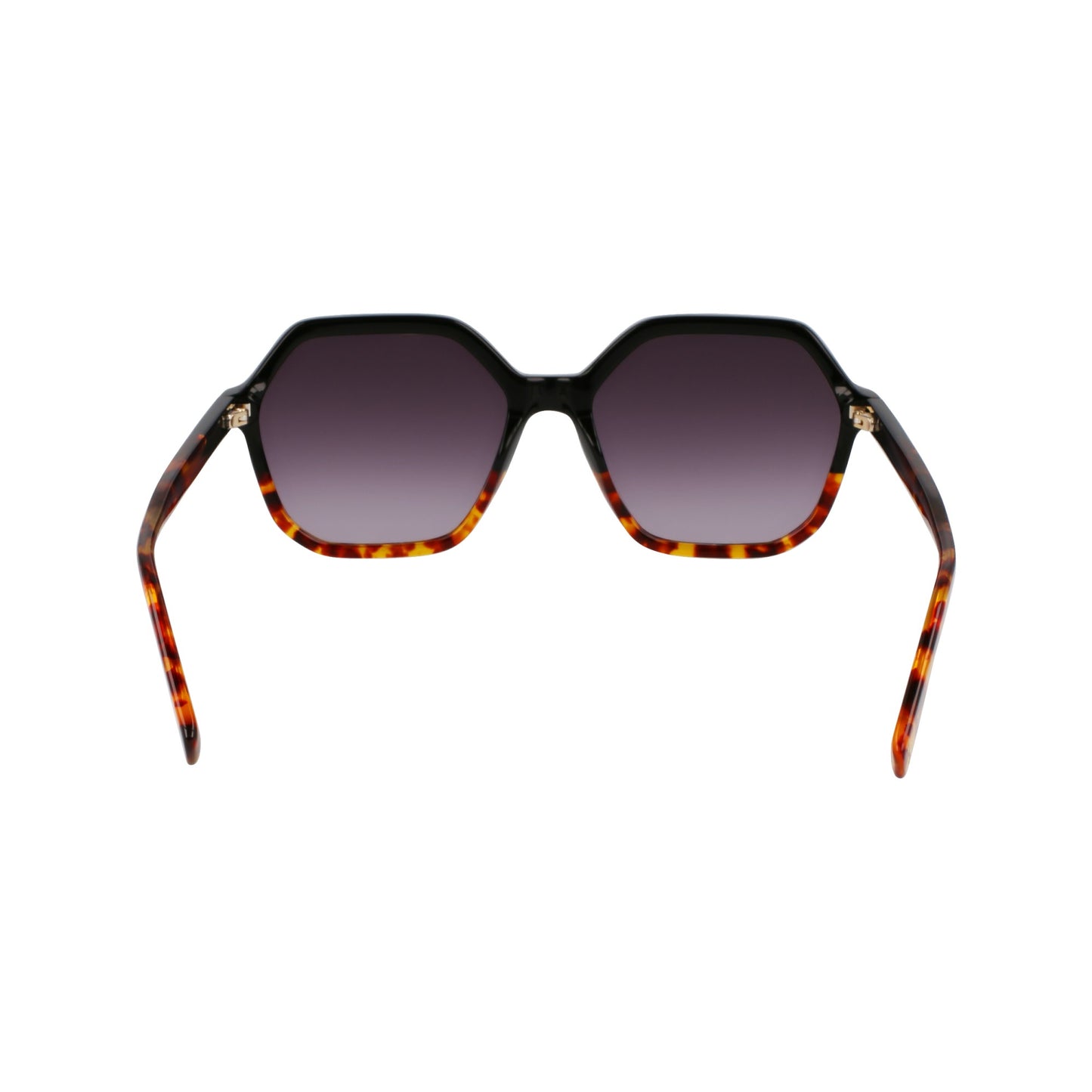 Longchamp LO760S N
