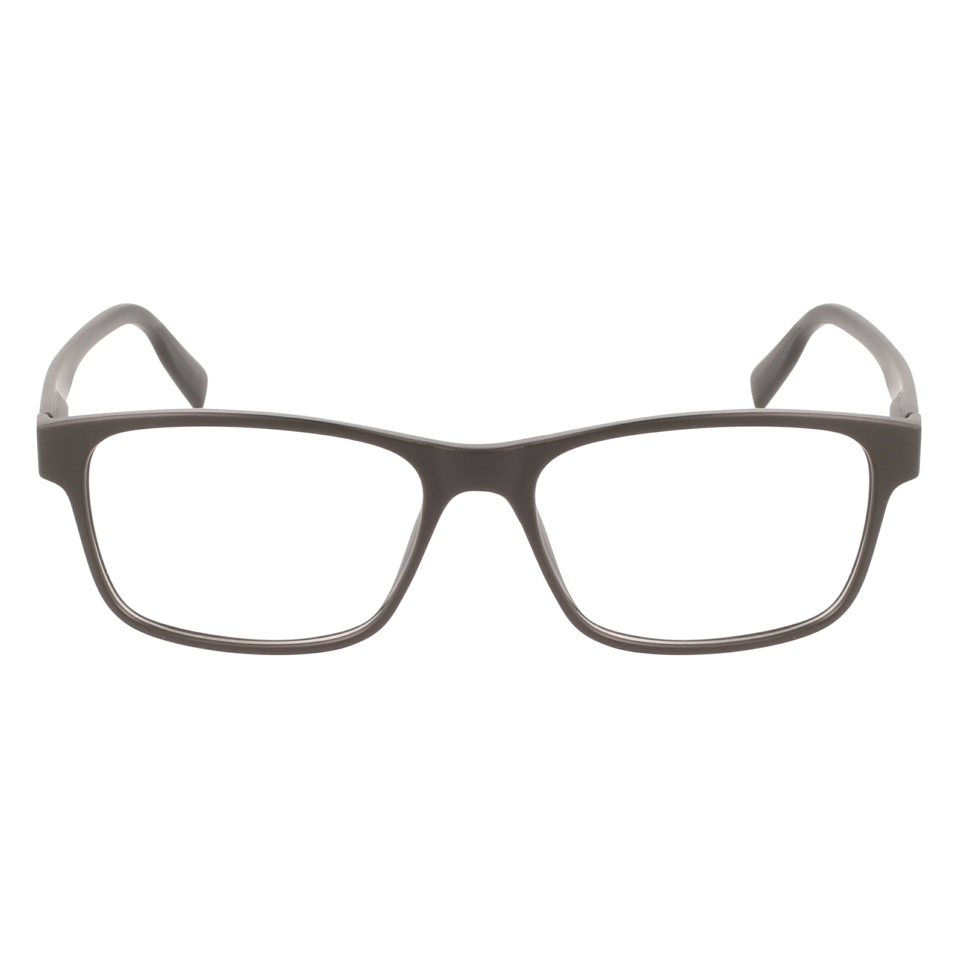 Lacoste L3649 N