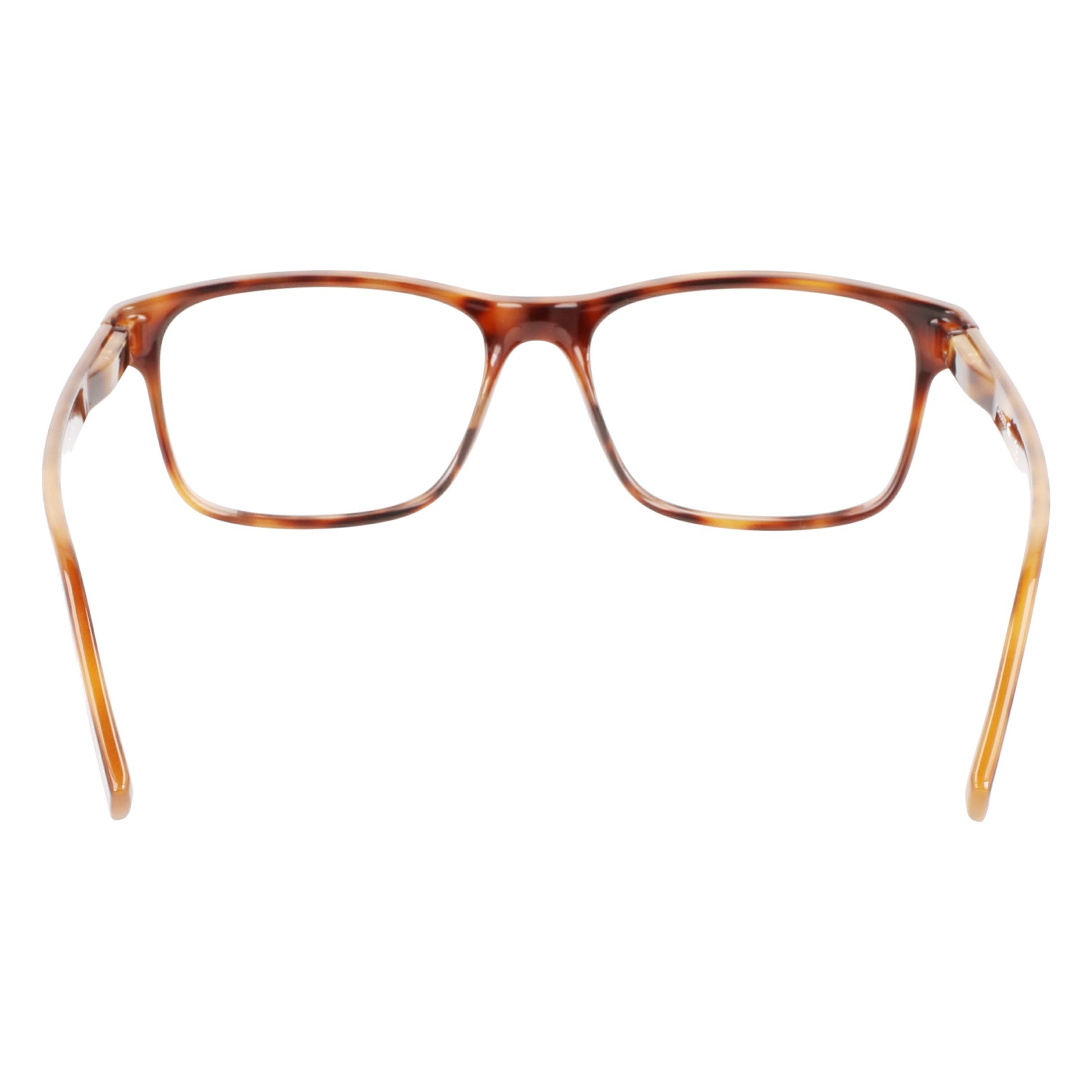 Lacoste L3649 N
