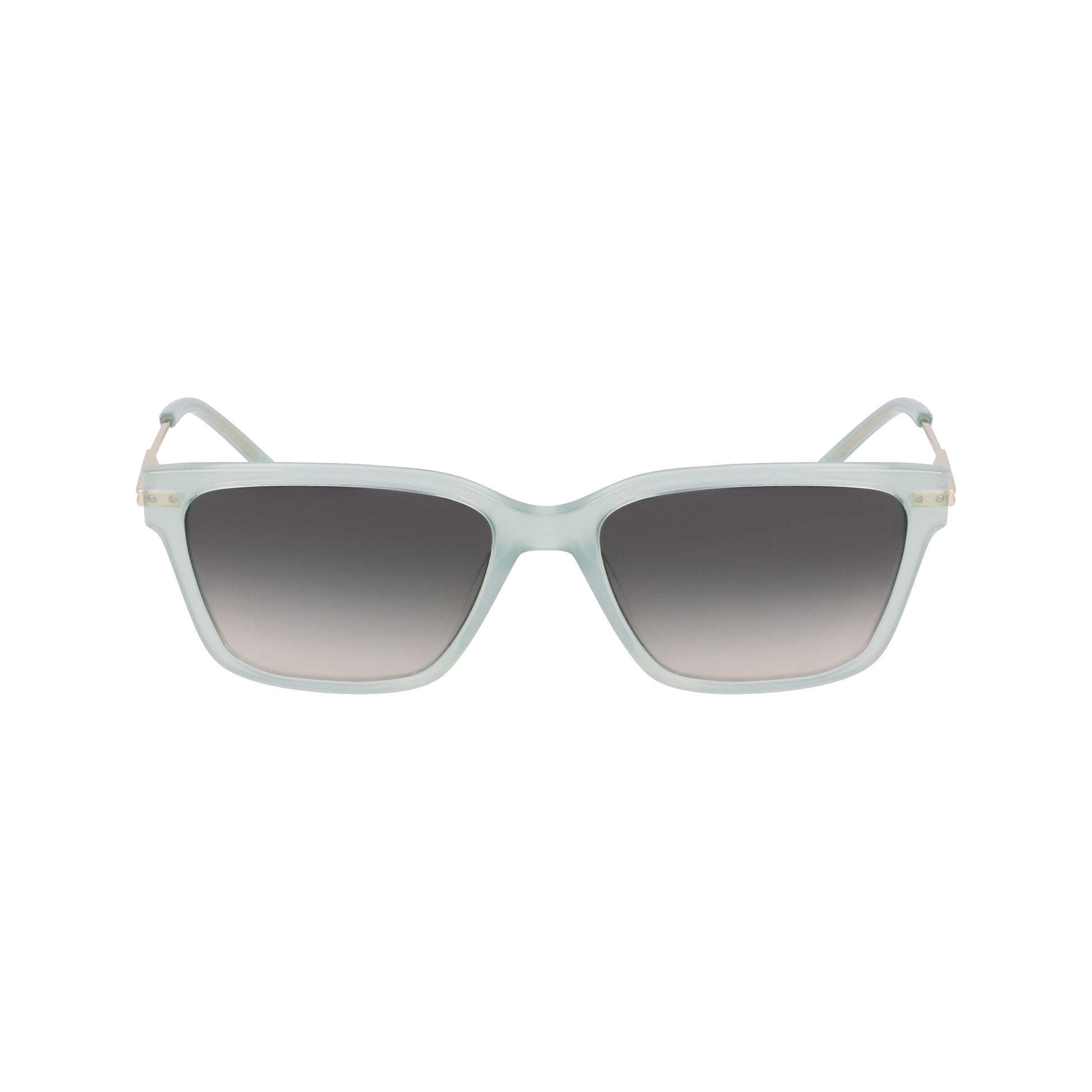 Dkny DK713S N