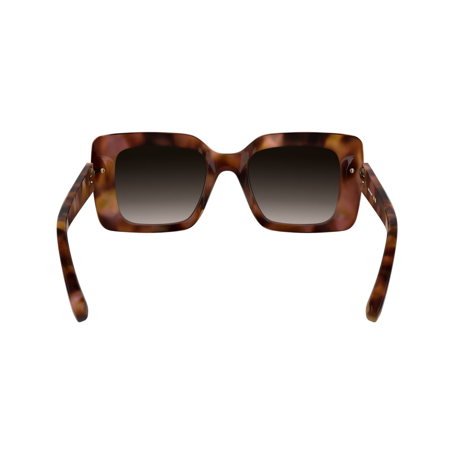 Longchamp LO776S N