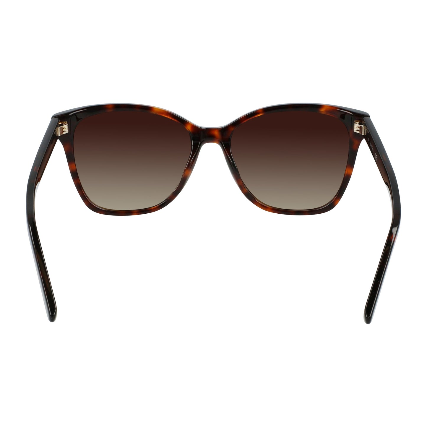Calvin Klein CK21529S N