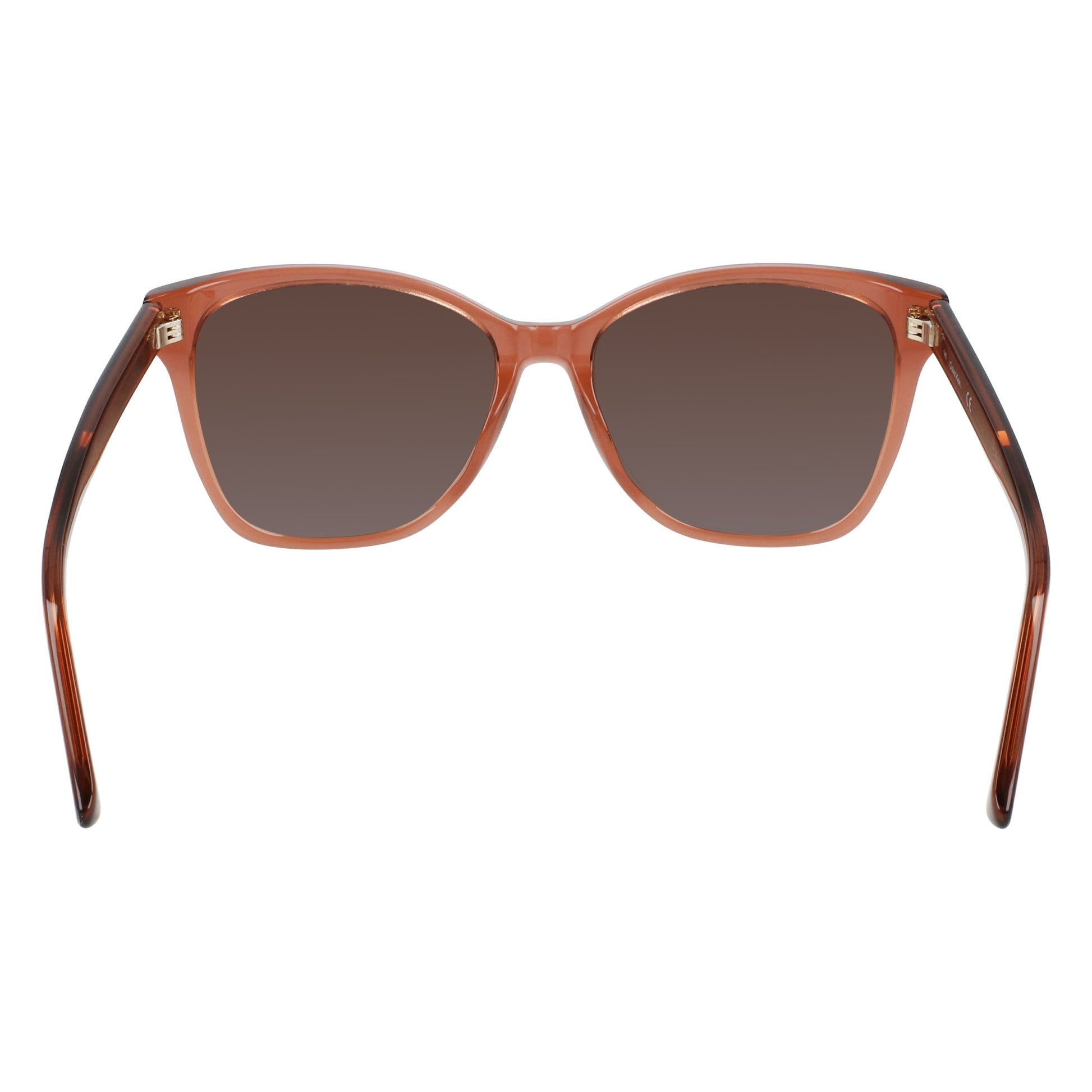 Calvin Klein CK21529S N