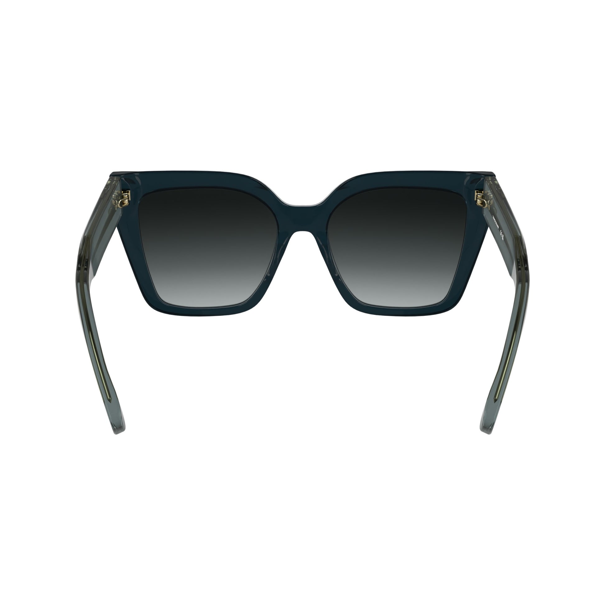 Longchamp LO778S N