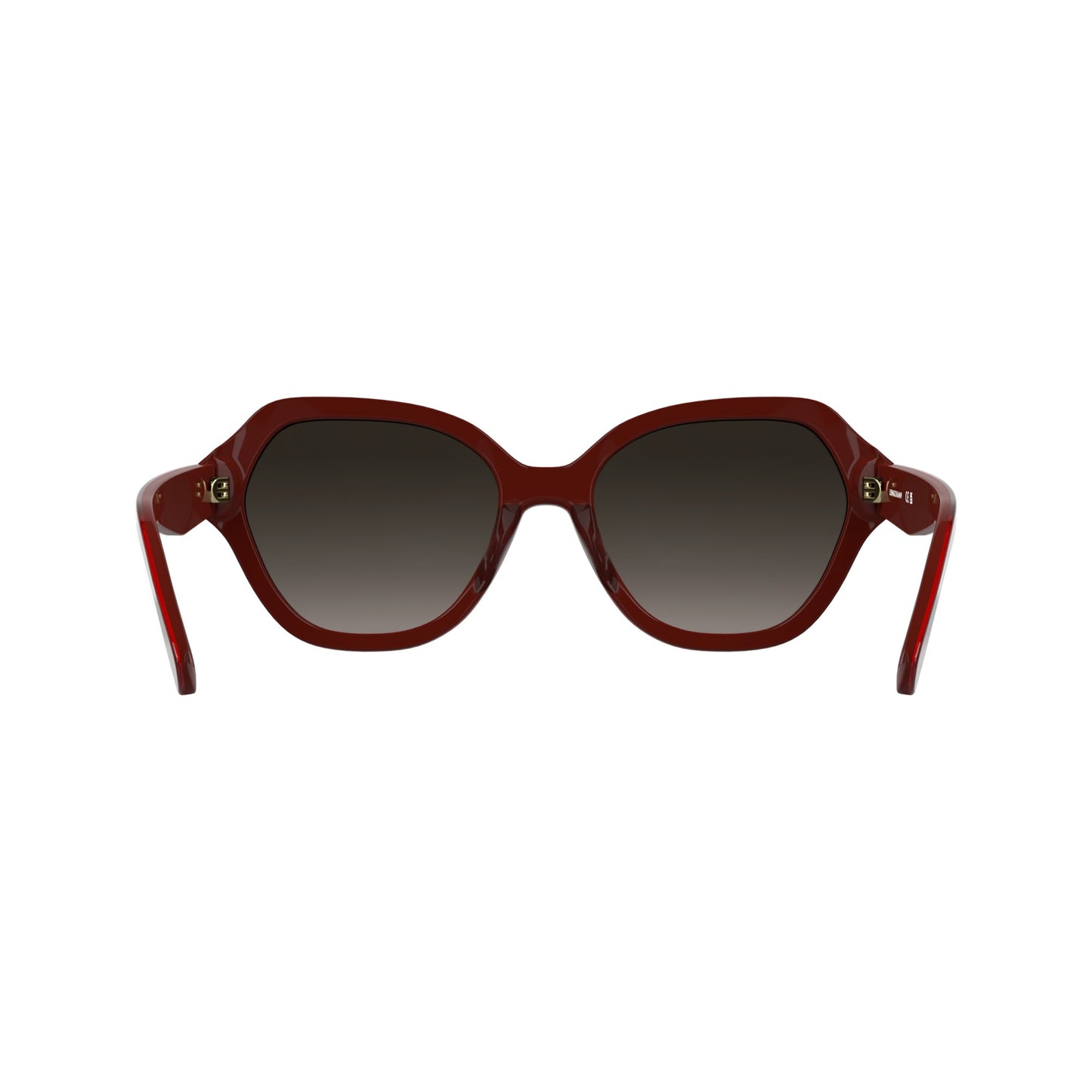 Longchamp LO801S