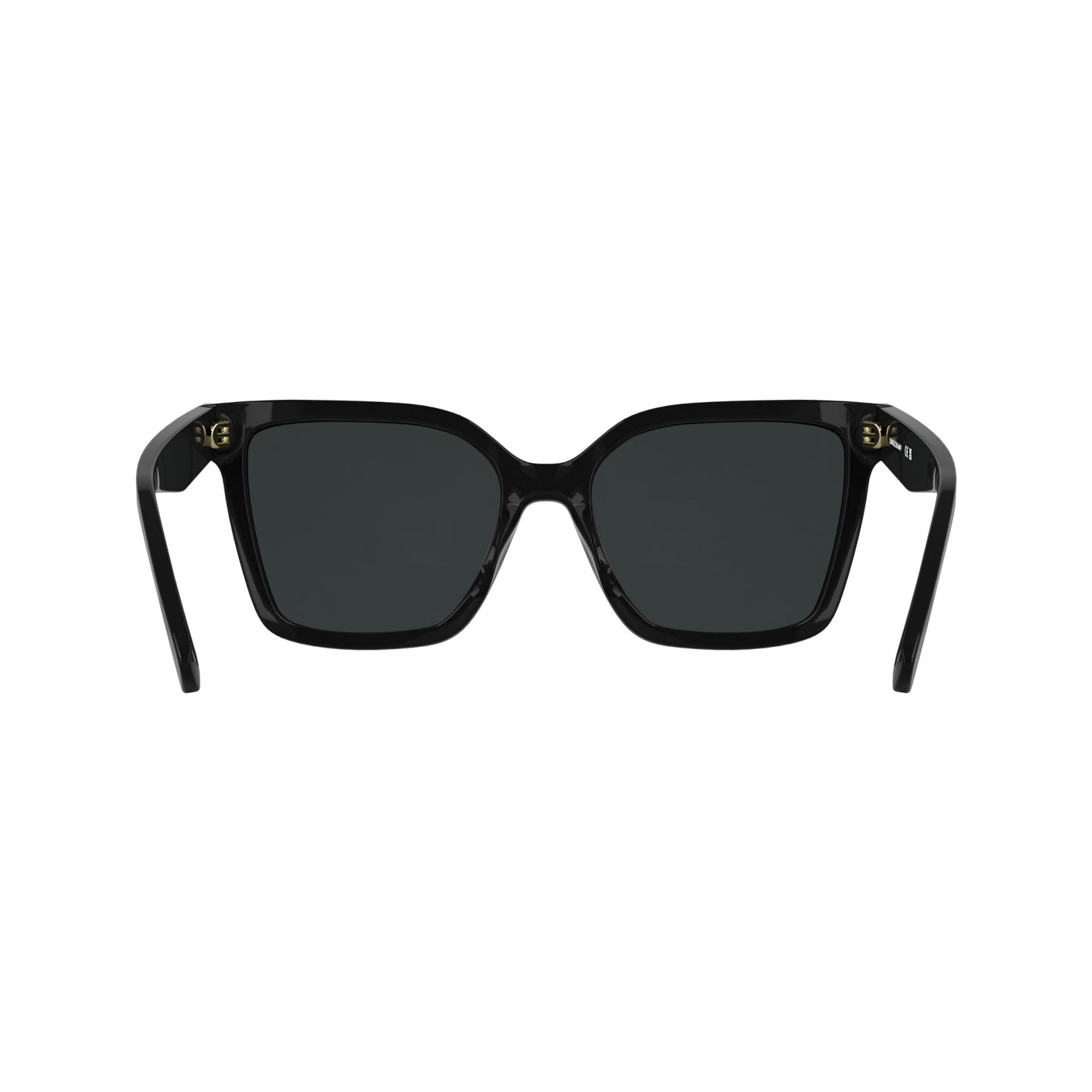 Longchamp LO802S