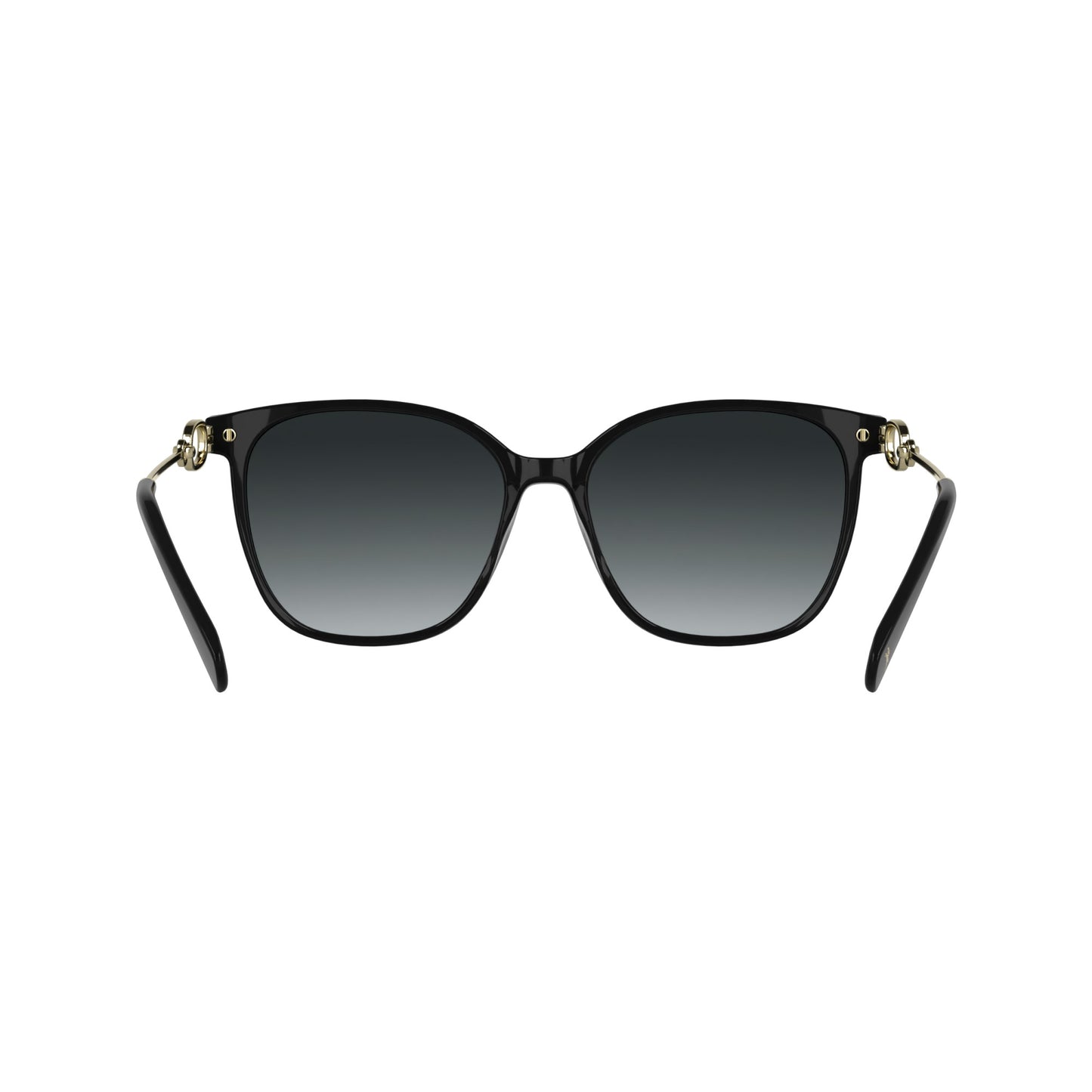 Longchamp LO805S