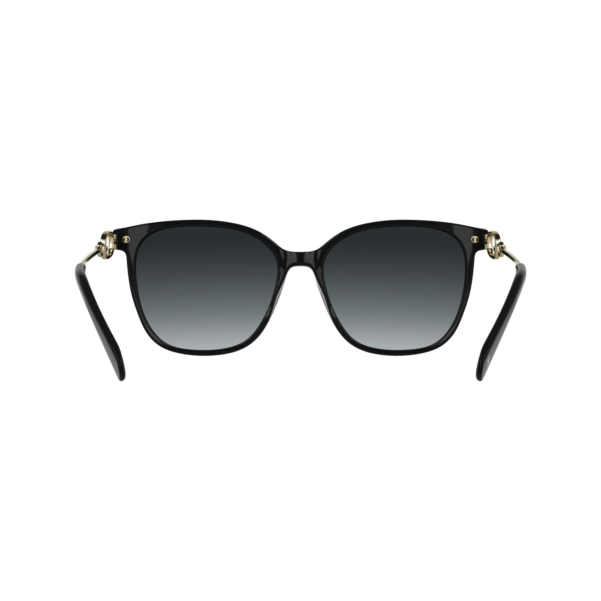 Longchamp LO805S