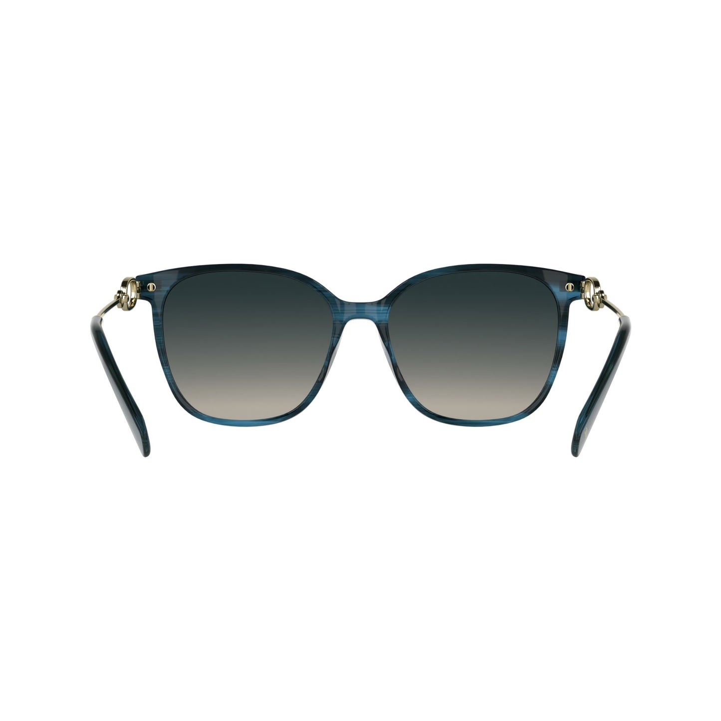 Longchamp LO805S