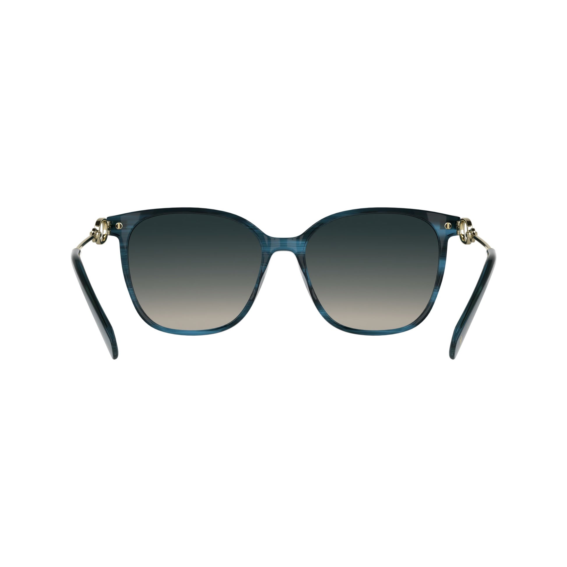 Longchamp LO805S