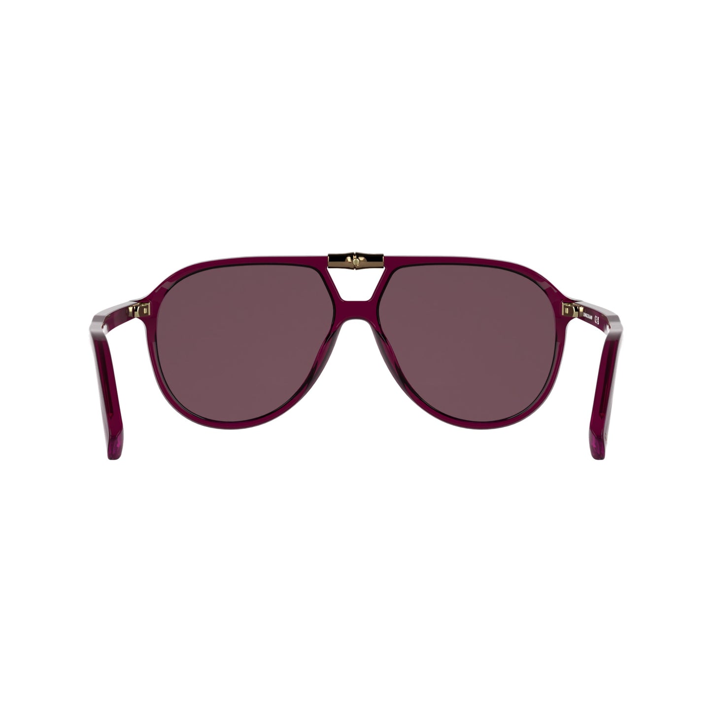Longchamp LO800S