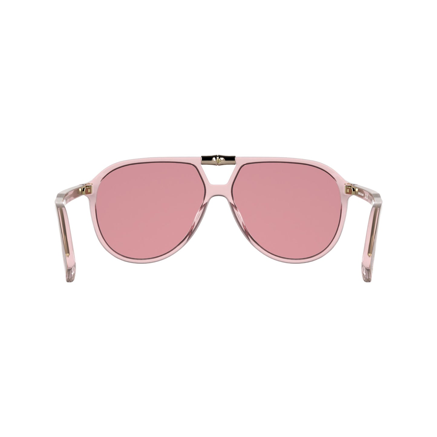 Longchamp LO800S