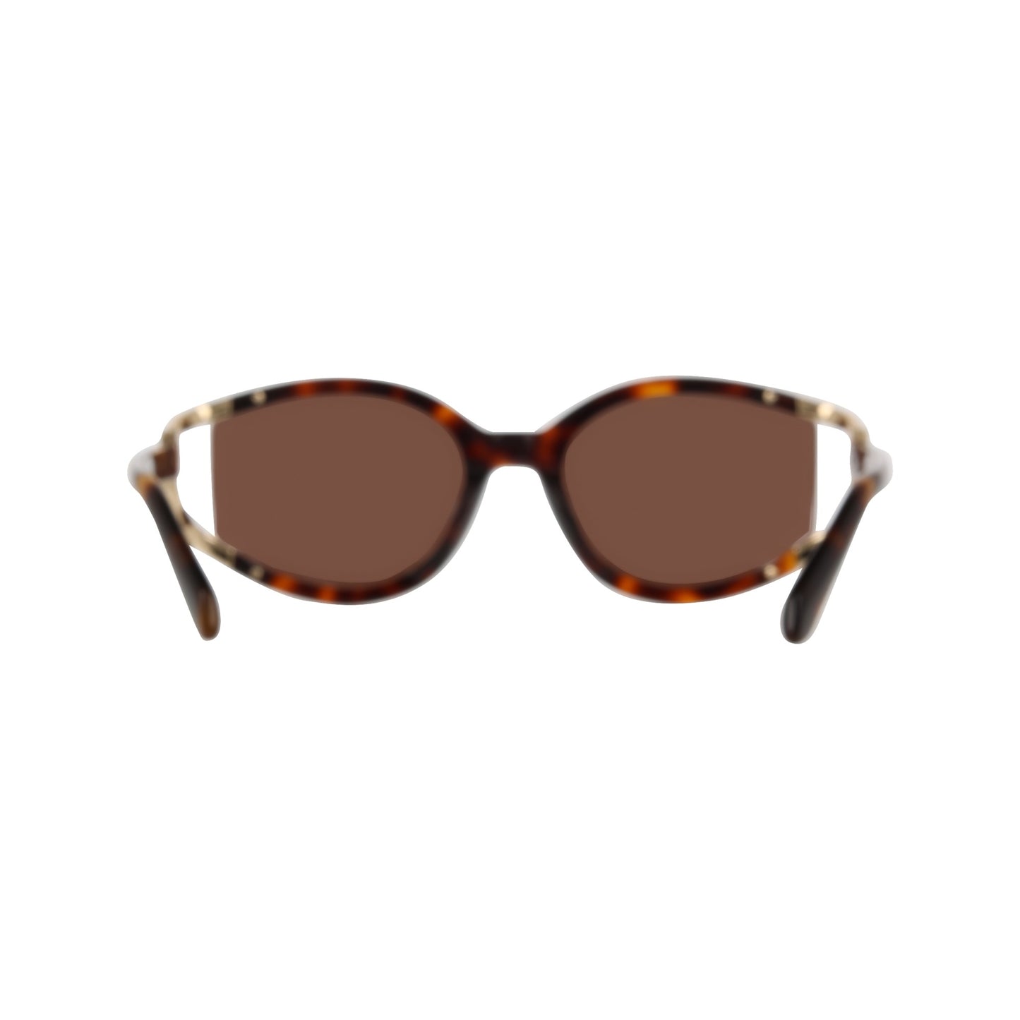 Ferragamo SF2111S